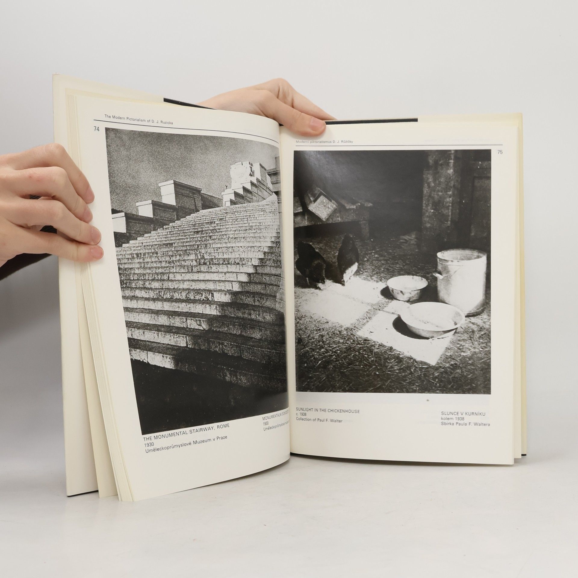 Christian A. Peterson The modern pictorialism of D. J. Ruzicka / moderní piktorialismus D. J. Růžičky