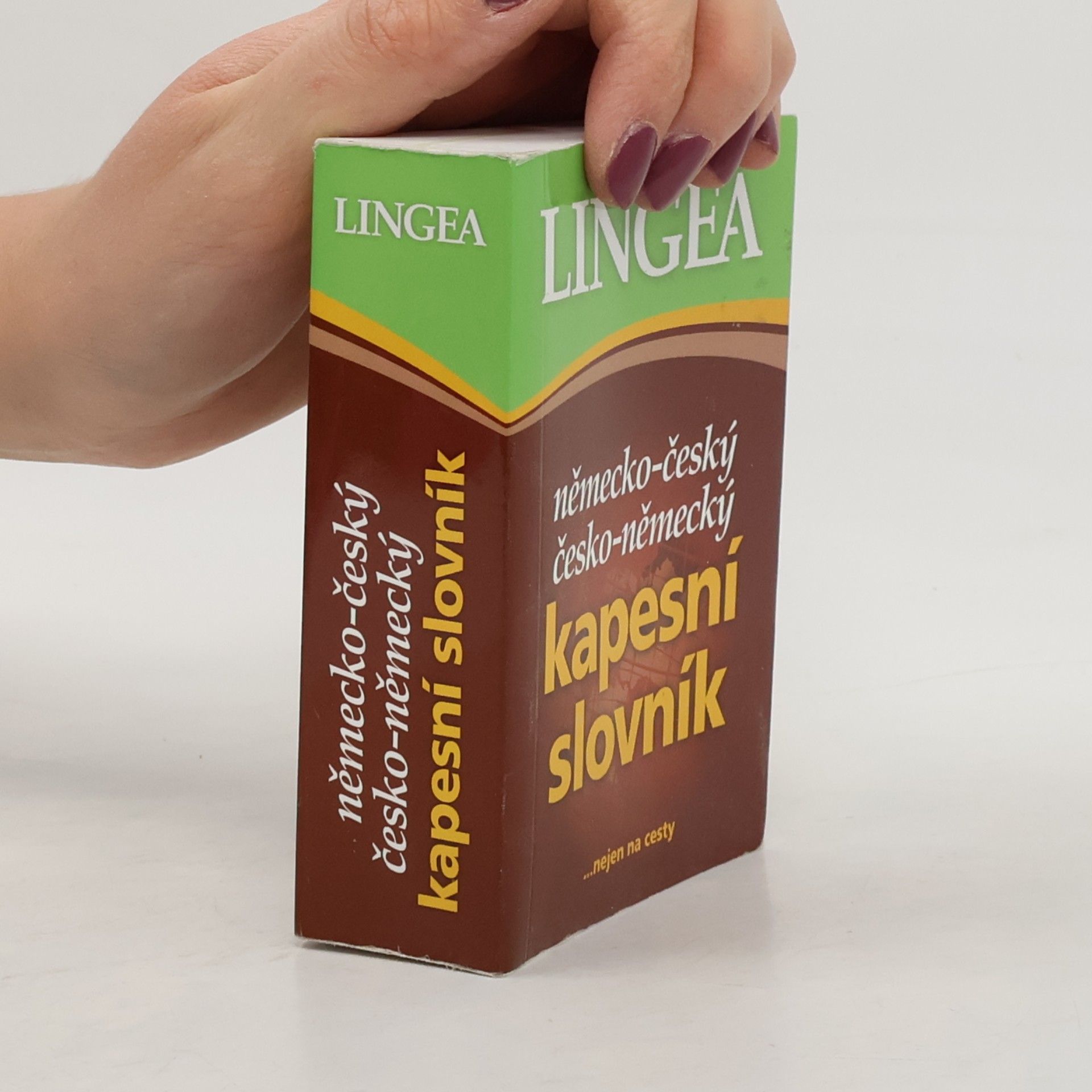Autorenkollektiv Německo-český, česko-německý kapesní slovník
