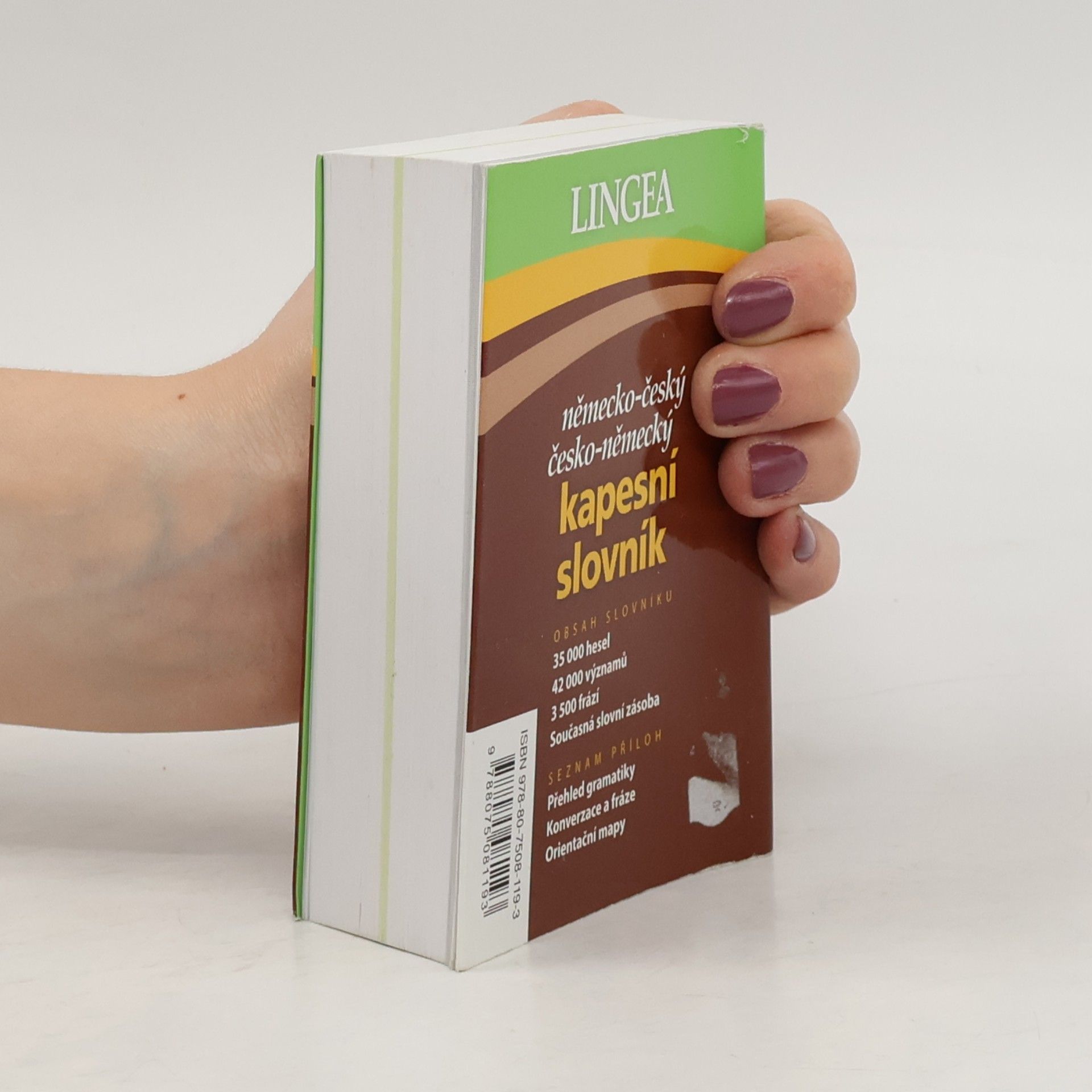 Autorenkollektiv Německo-český, česko-německý kapesní slovník