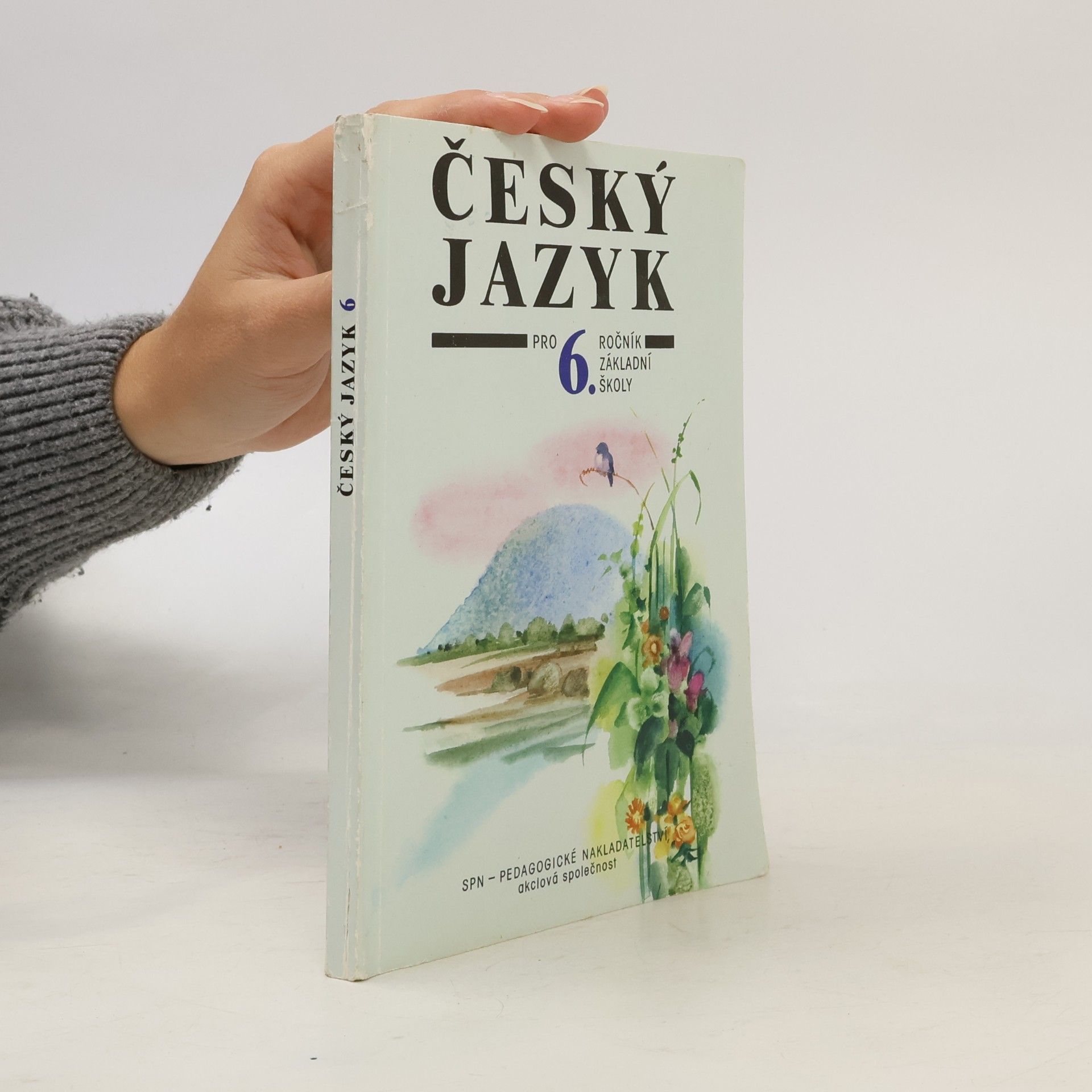 Český jazyk pro 6. ročník základní školy a pro odpovídající ročník víceletých gymnázií