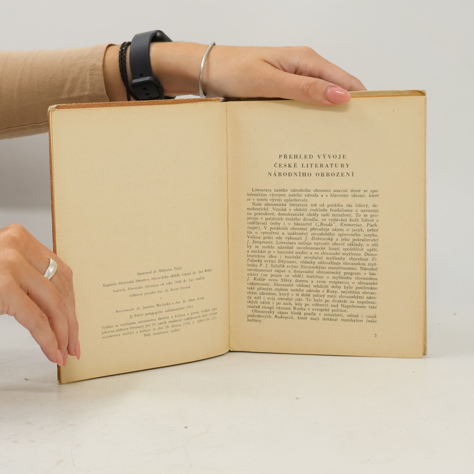 Vítězslav Tichý Rukověť dějin české a slovenské literatury