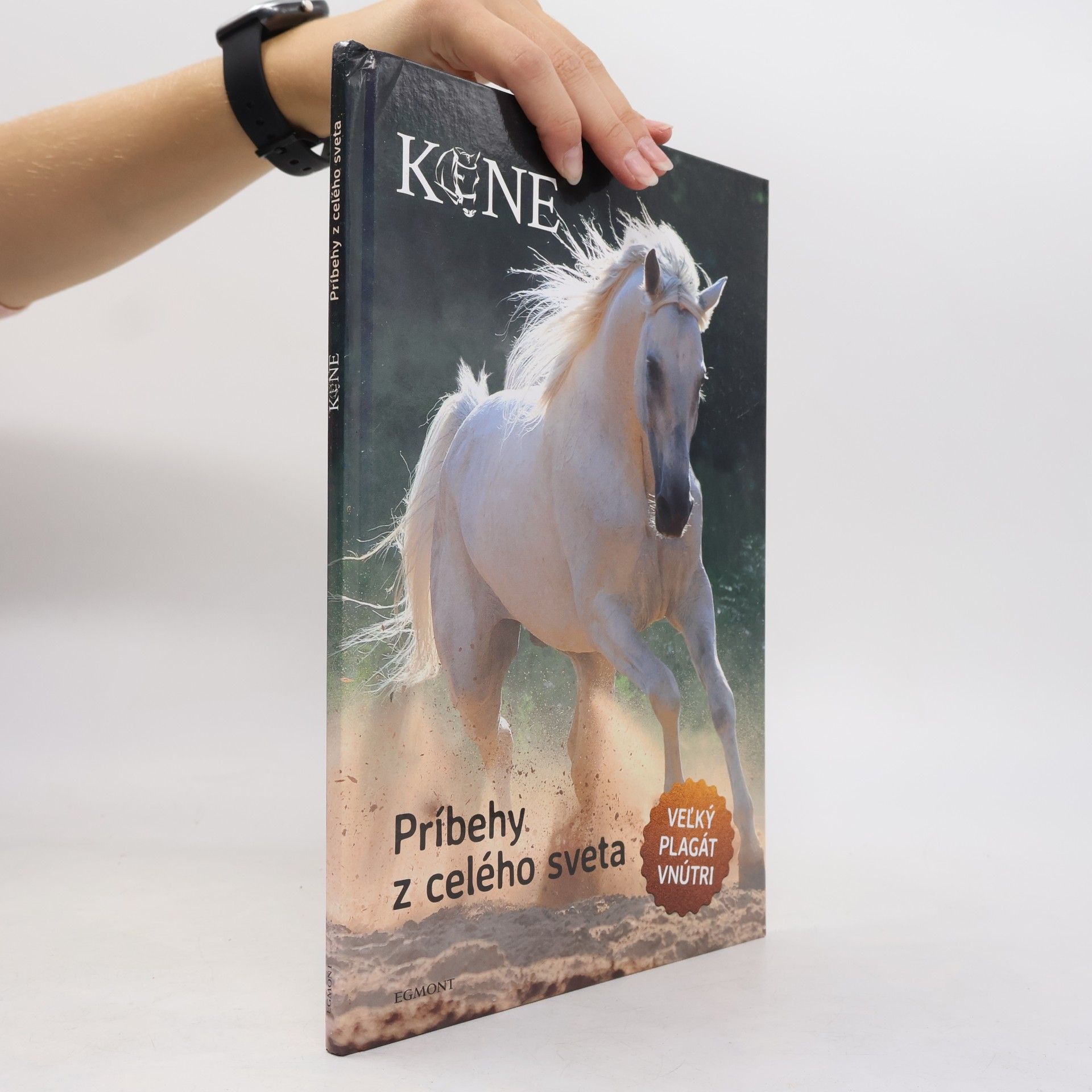AA.VV. Kone : Príbehy z celého sveta