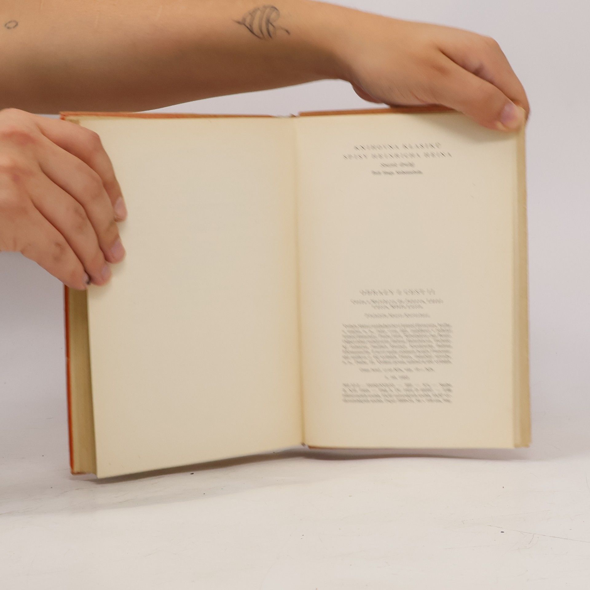 Heinrich Heine Obrazy z cest II