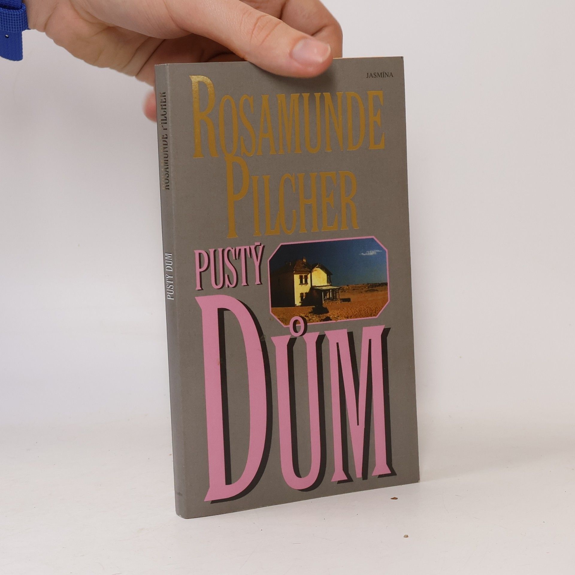 Rosamunde Pilcher Pustý dům