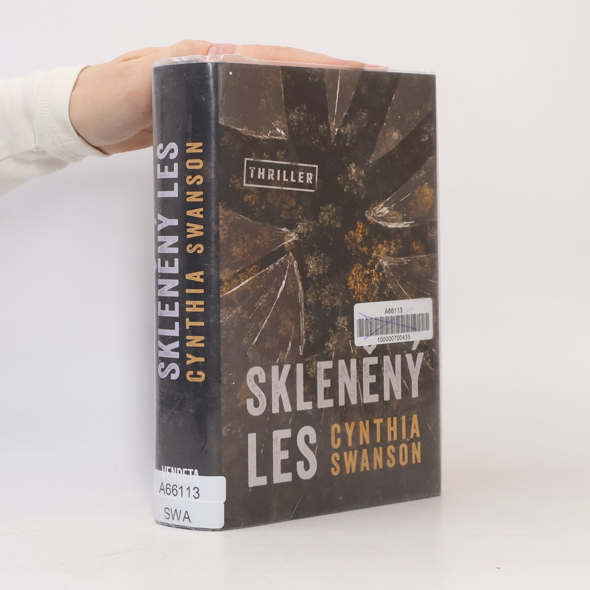 Cynthia Swanson Skleněný les