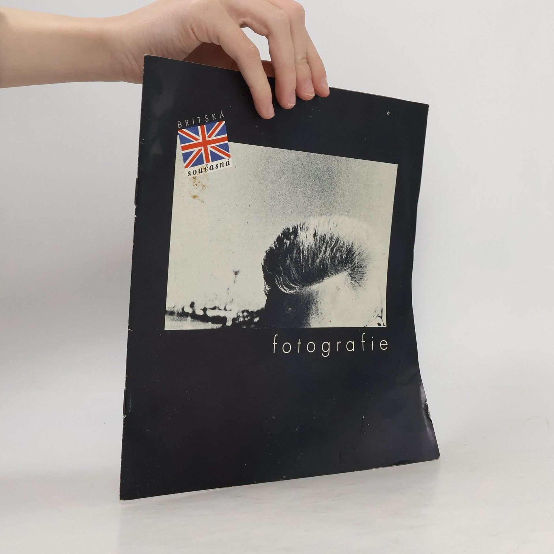 Autorenkollektiv Britská současná fotografie