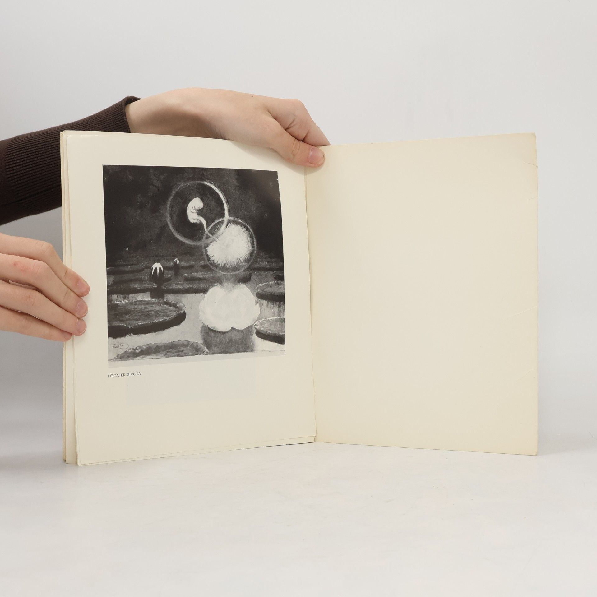 Ludmila Vachtova F. Kupka : [Katalog výstavy], Hradec Králové 1971