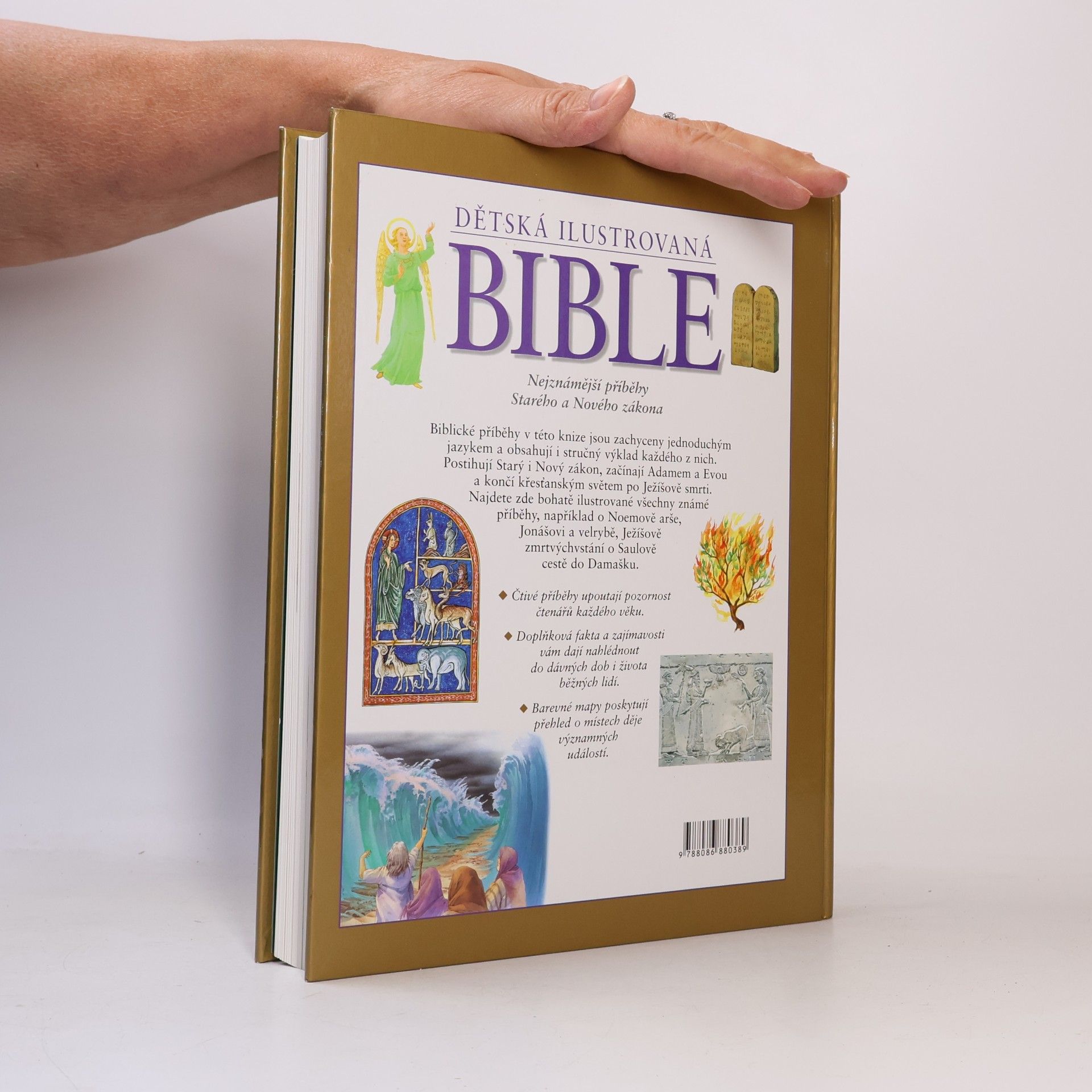 Janet Dyson Dětská ilustrovaná Bible