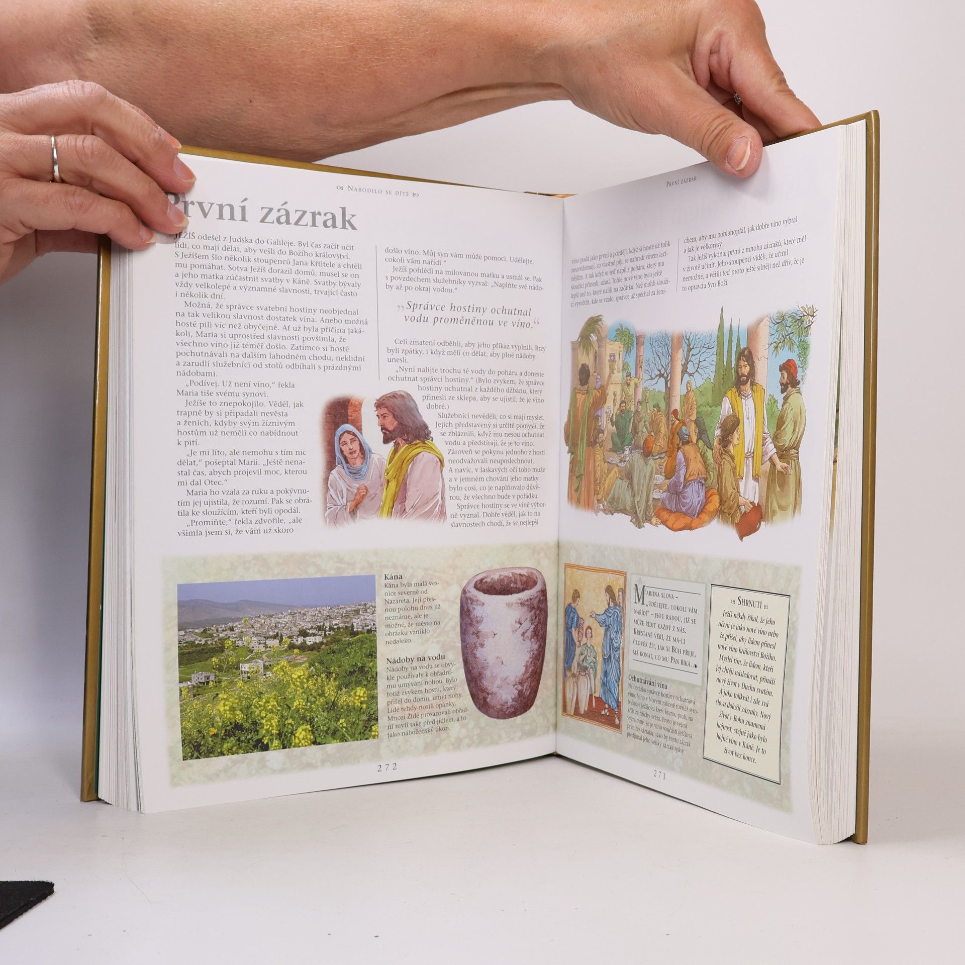 Janet Dyson Dětská ilustrovaná Bible