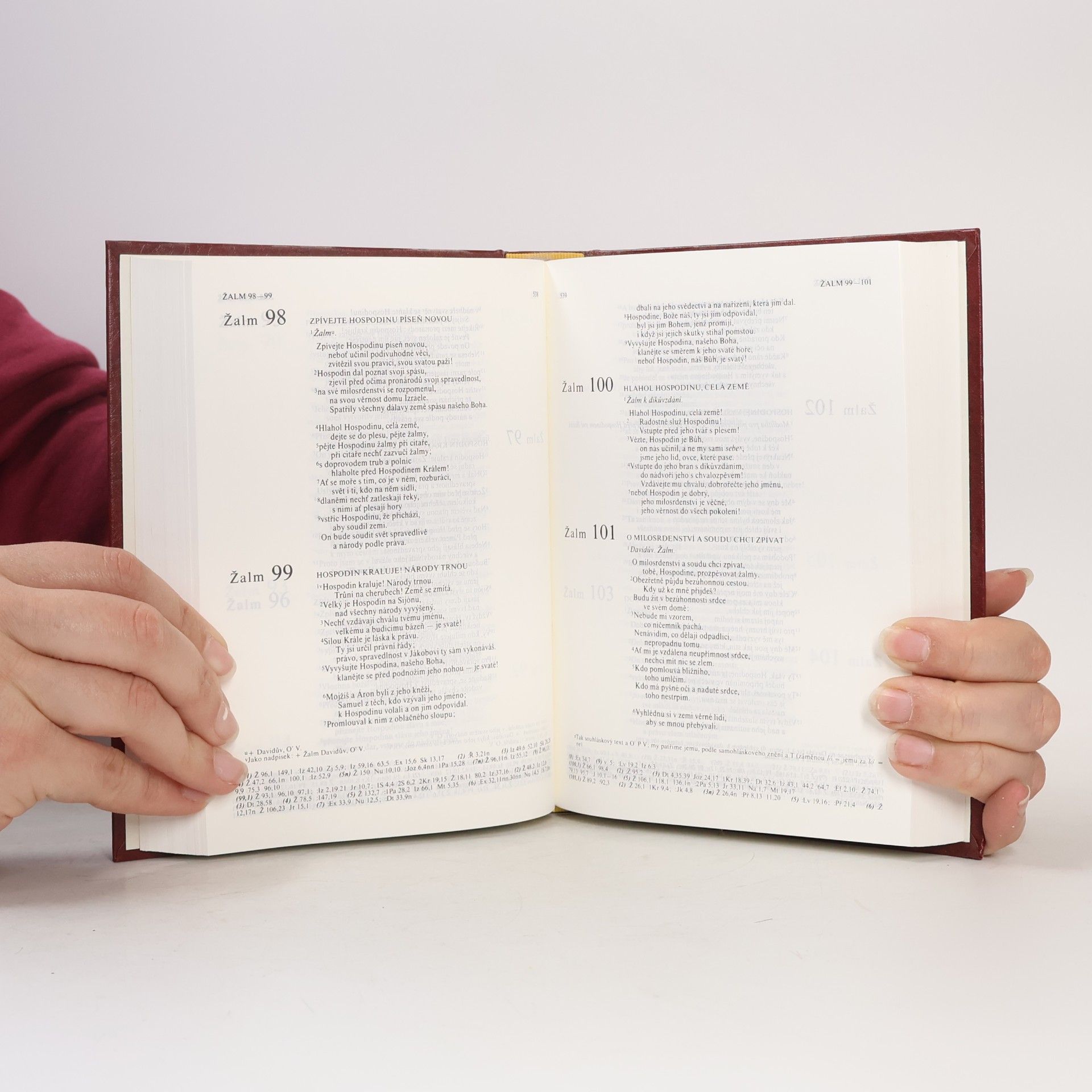 Autores varios Bible. Písmo svaté Starého i Nového zákona