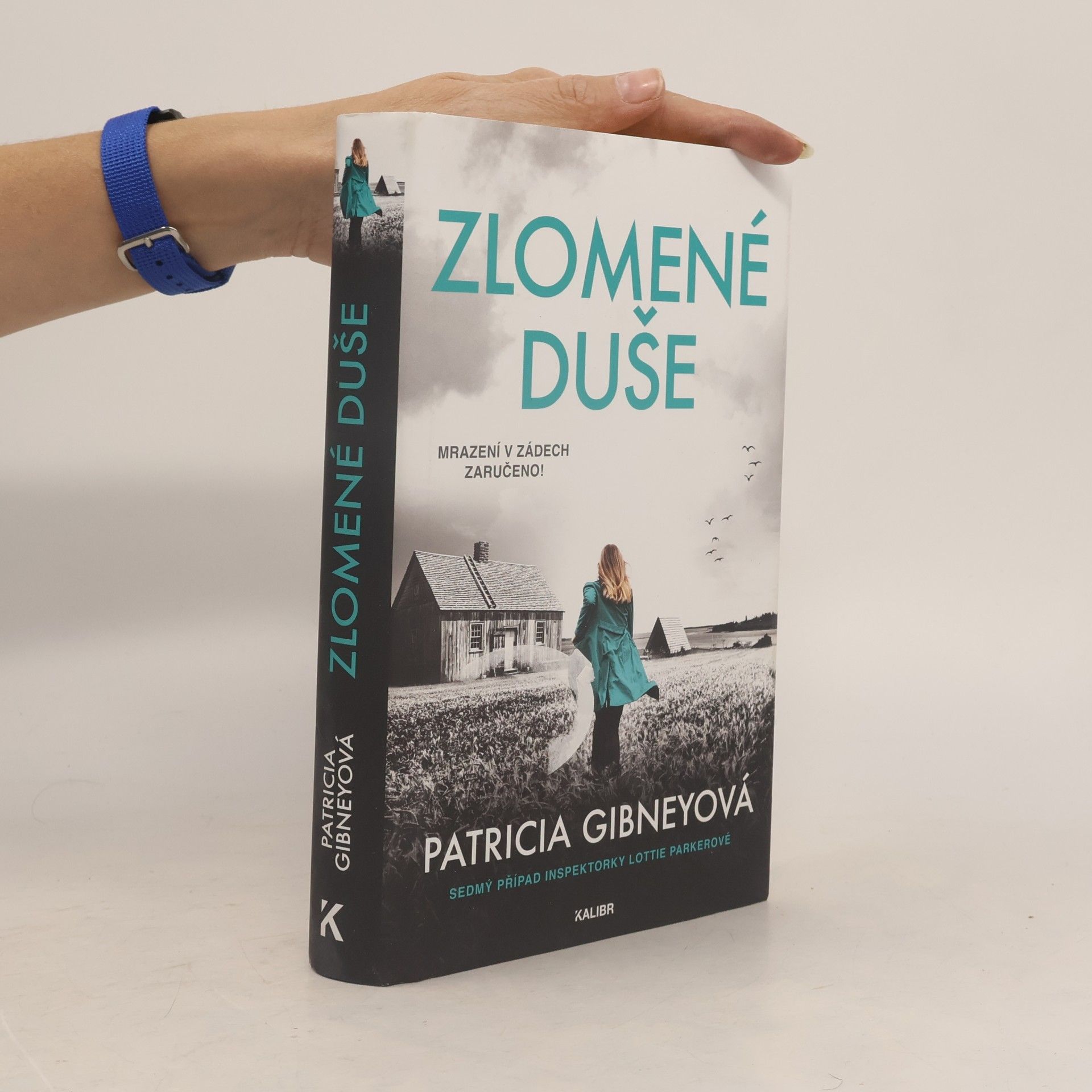 Patricia Gibney Zlomené Duše