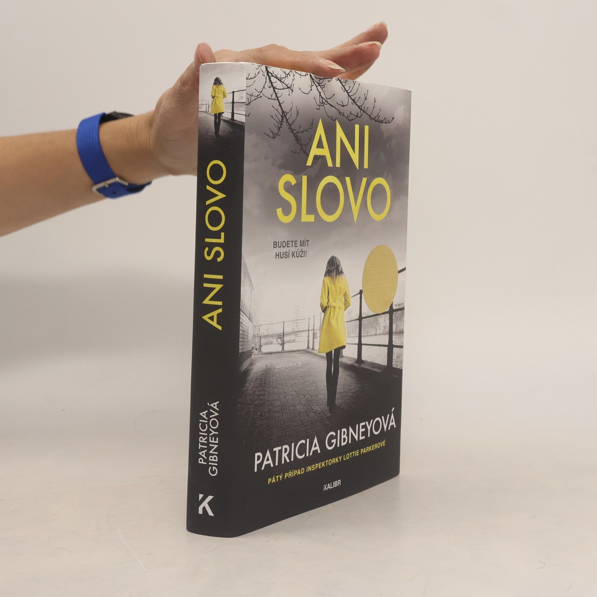 Patricia Gibney Ani slovo