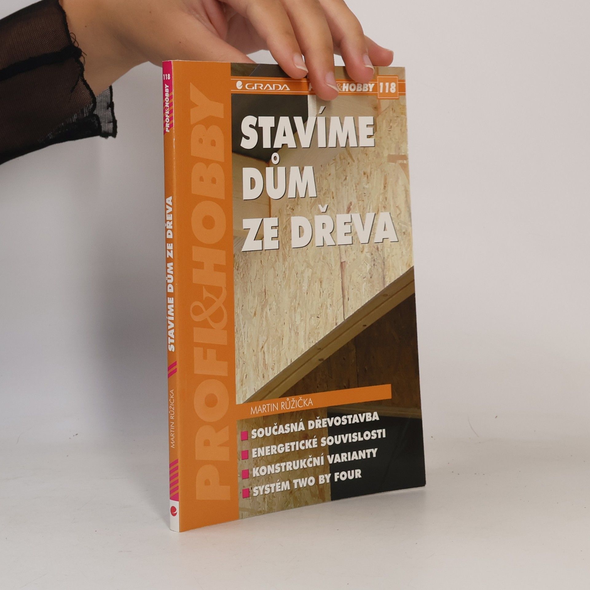 Martin Růžička Stavíme dům ze dřeva