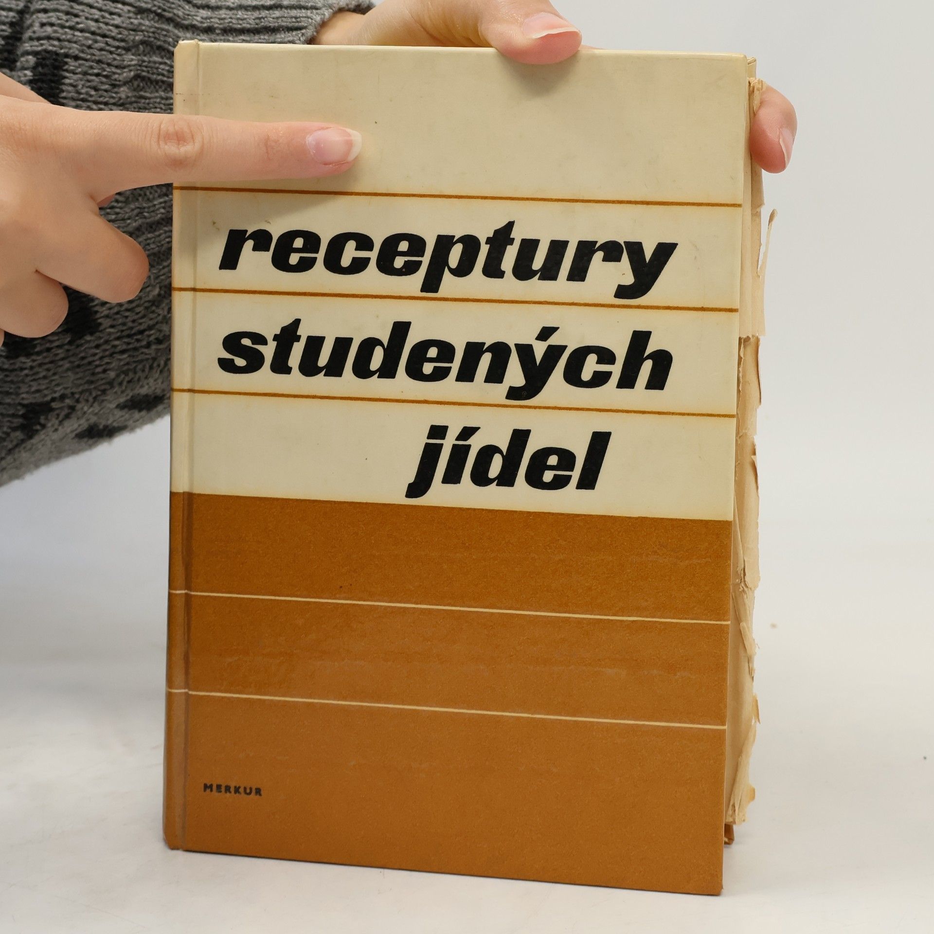 Alois Houžvička Receptury studených jídel