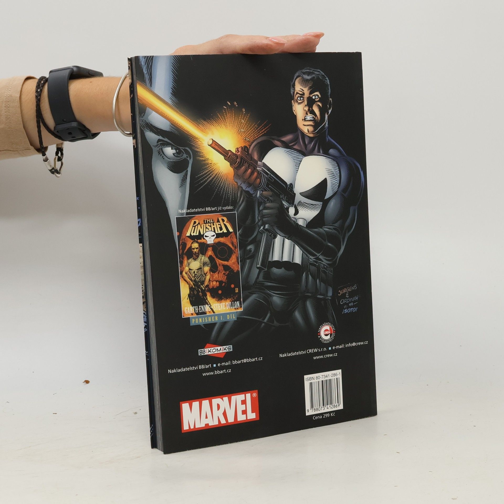 Garth Ennis The Punisher 2