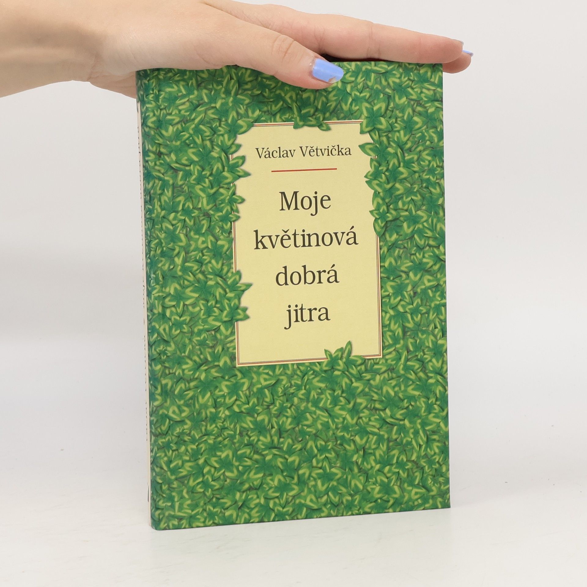 Václav Větvička Moje květinová dobrá jitra
