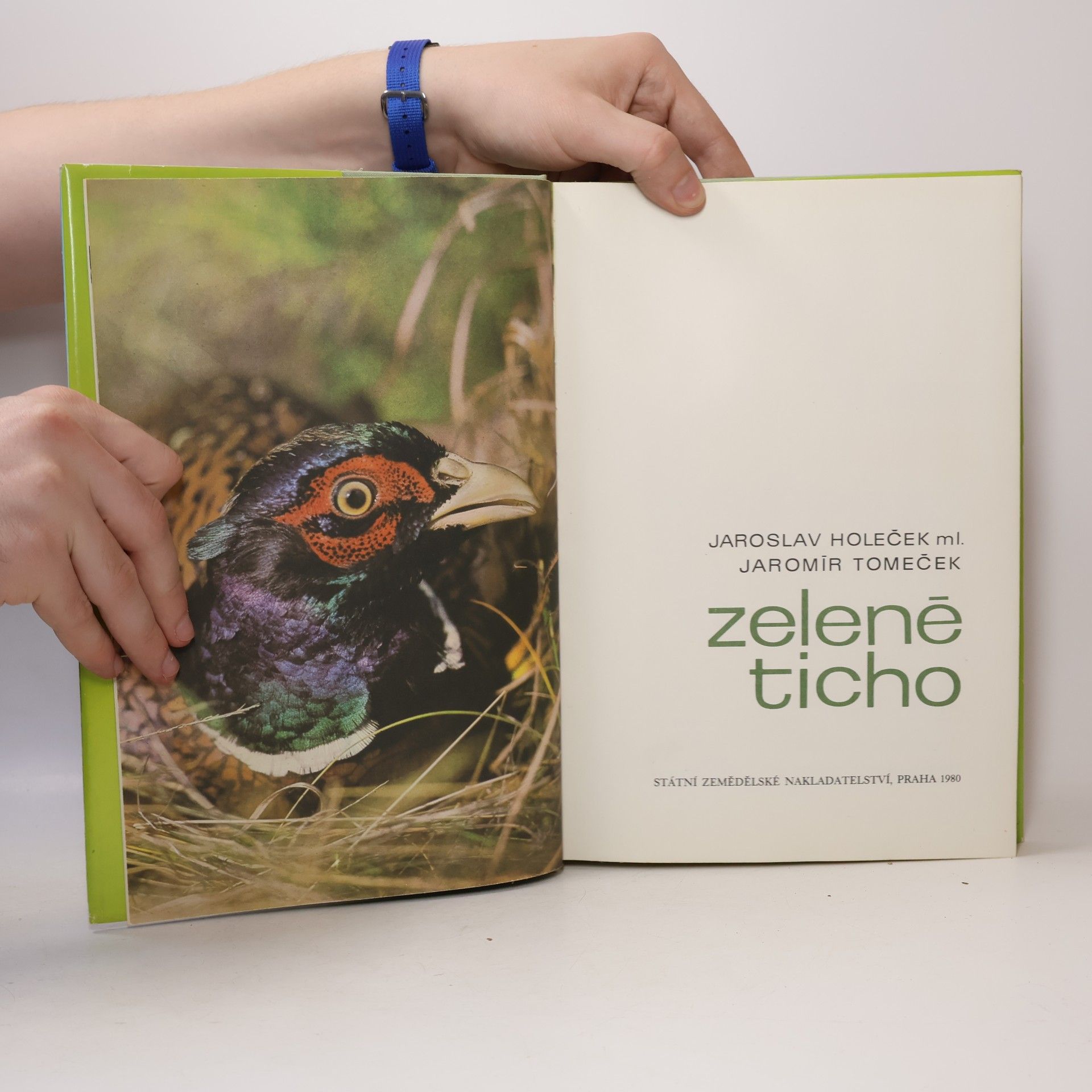 Jaroslav Holeček Zelené ticho