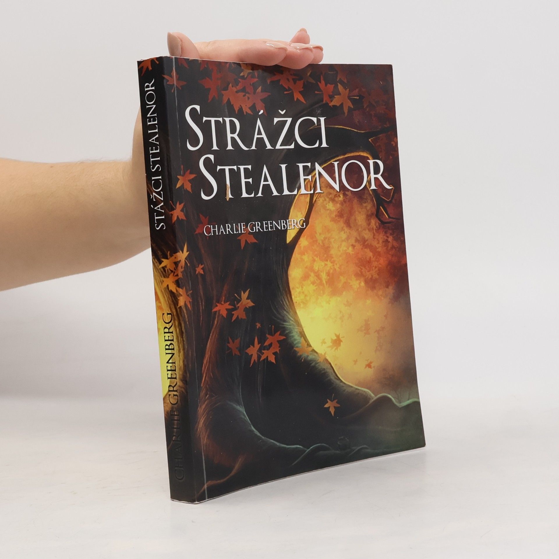 Strážci Stealenor