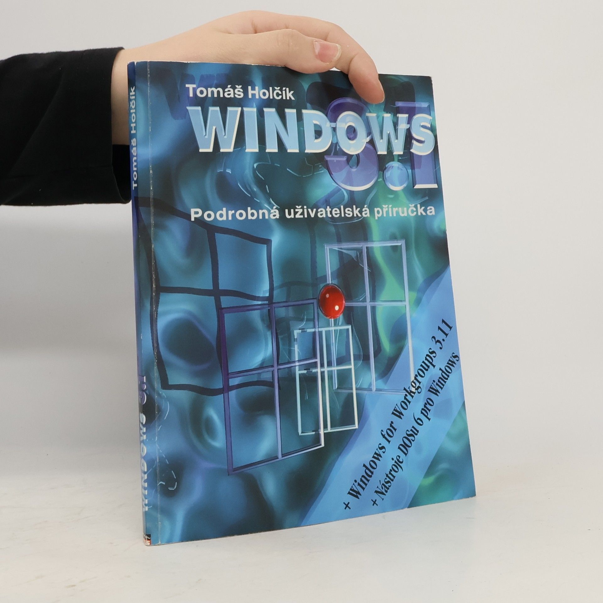 Tomáš Holčík Microsoft Windows 3.1 CS : Podrobná uživatelská příručka