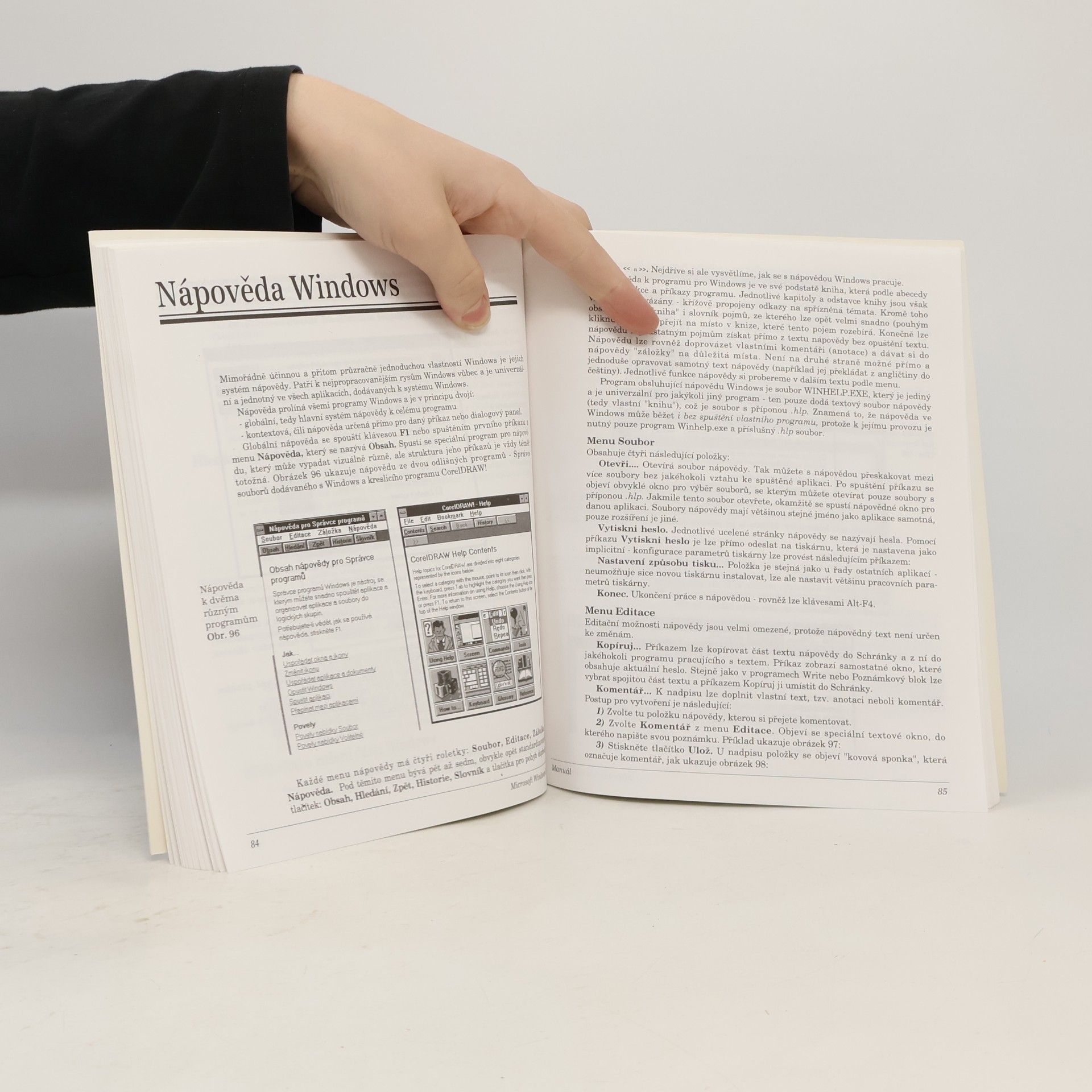Tomáš Holčík Microsoft Windows 3.1 CS : Podrobná uživatelská příručka