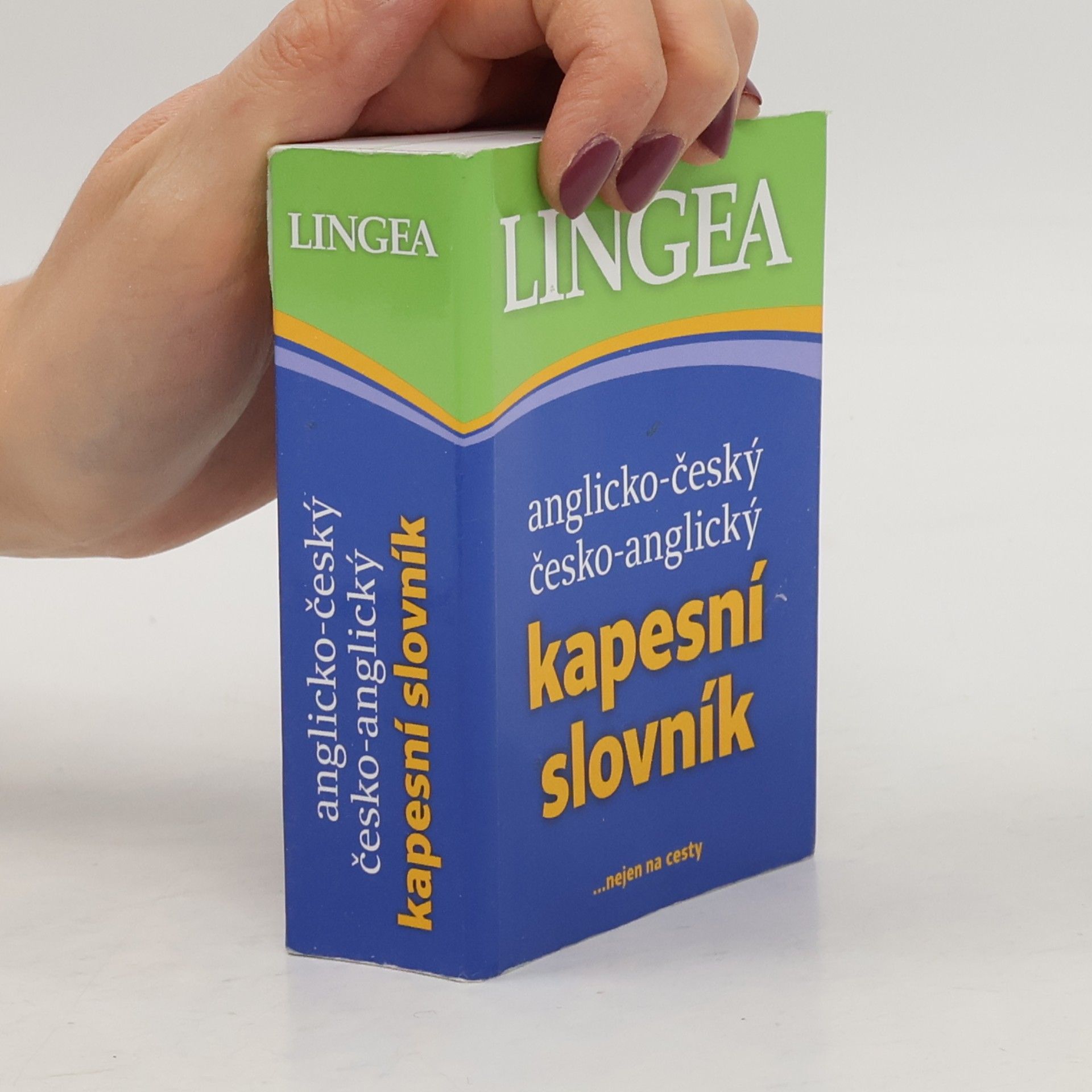 Anglicko-český česko-anglický kapesní slovník