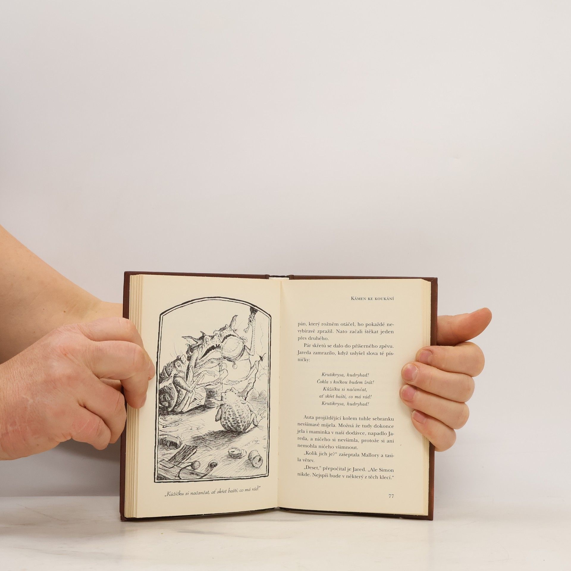 Tony DiTerlizzi Kronika rodu Spiderwicků. Kniha 2., Kámen ke koukání