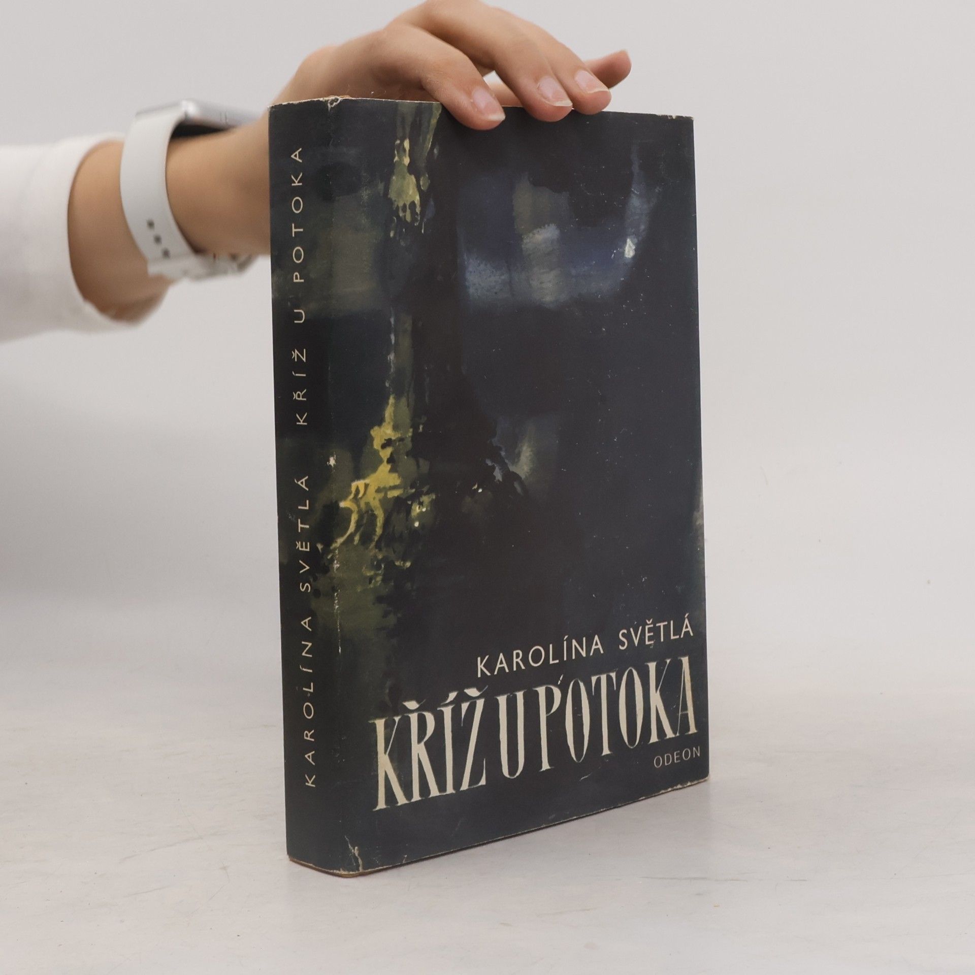 Karolina Světlá Kříž u potoka