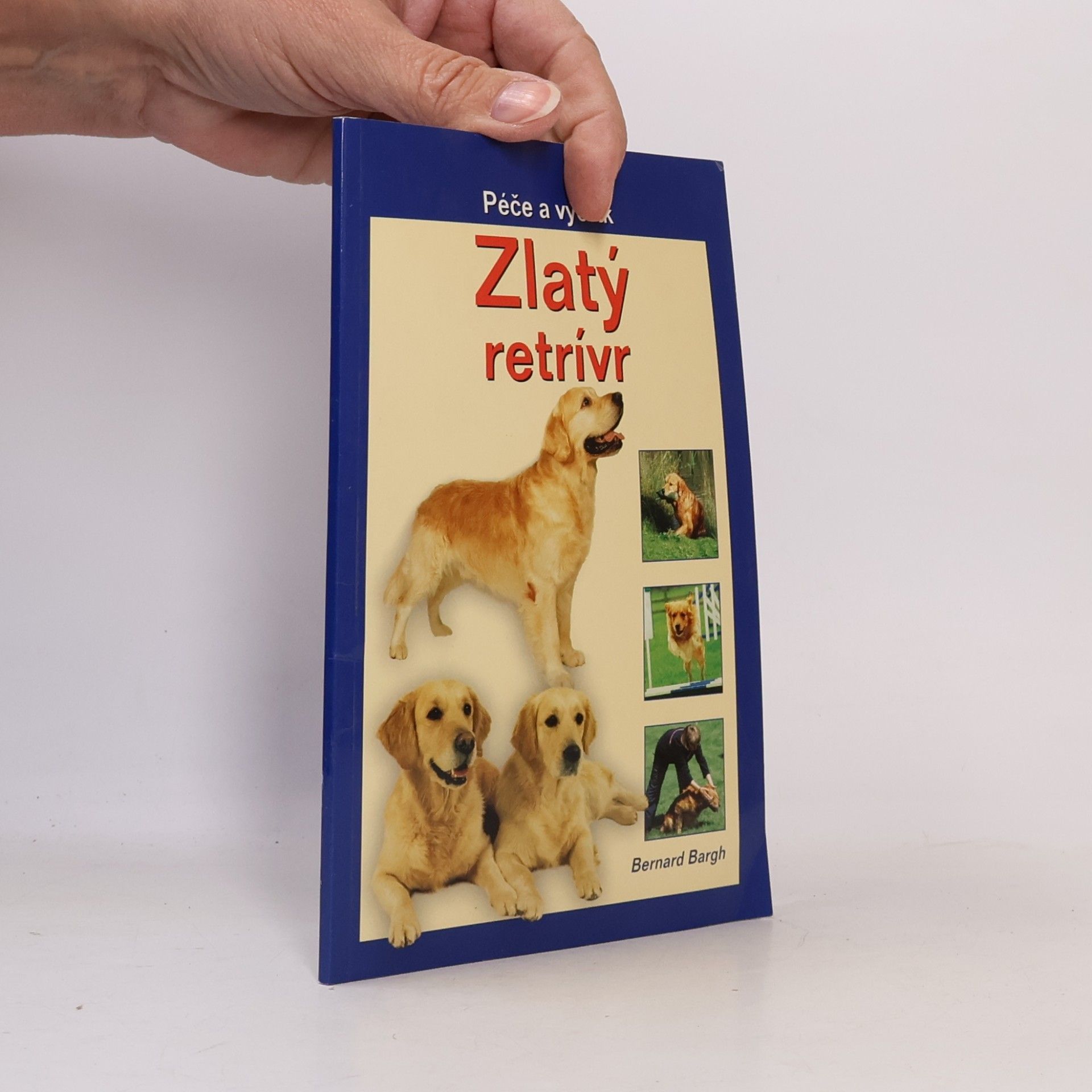 Bernard Bargh Zlatý retrívr