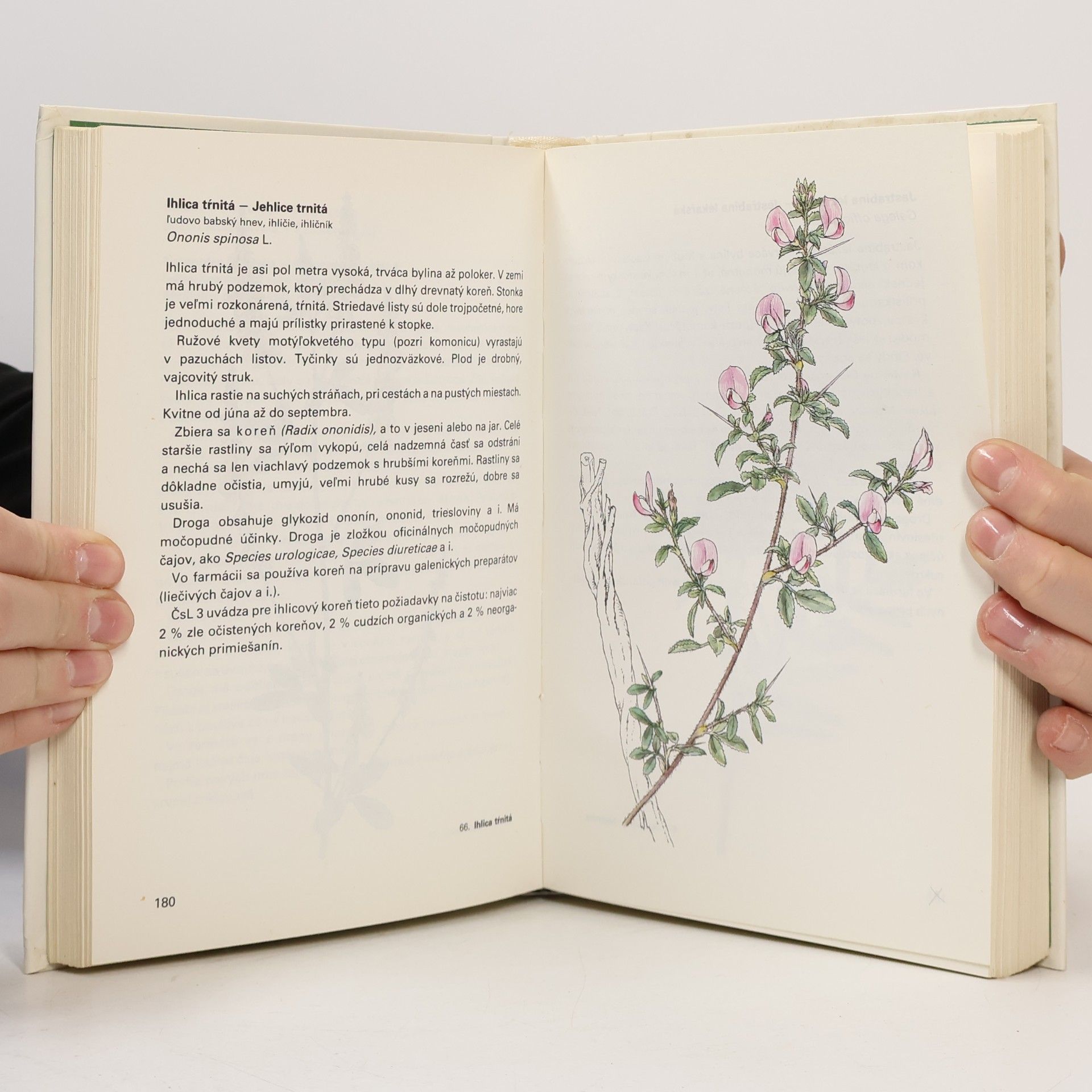 Jan Macků Atlas liečivých rastlín