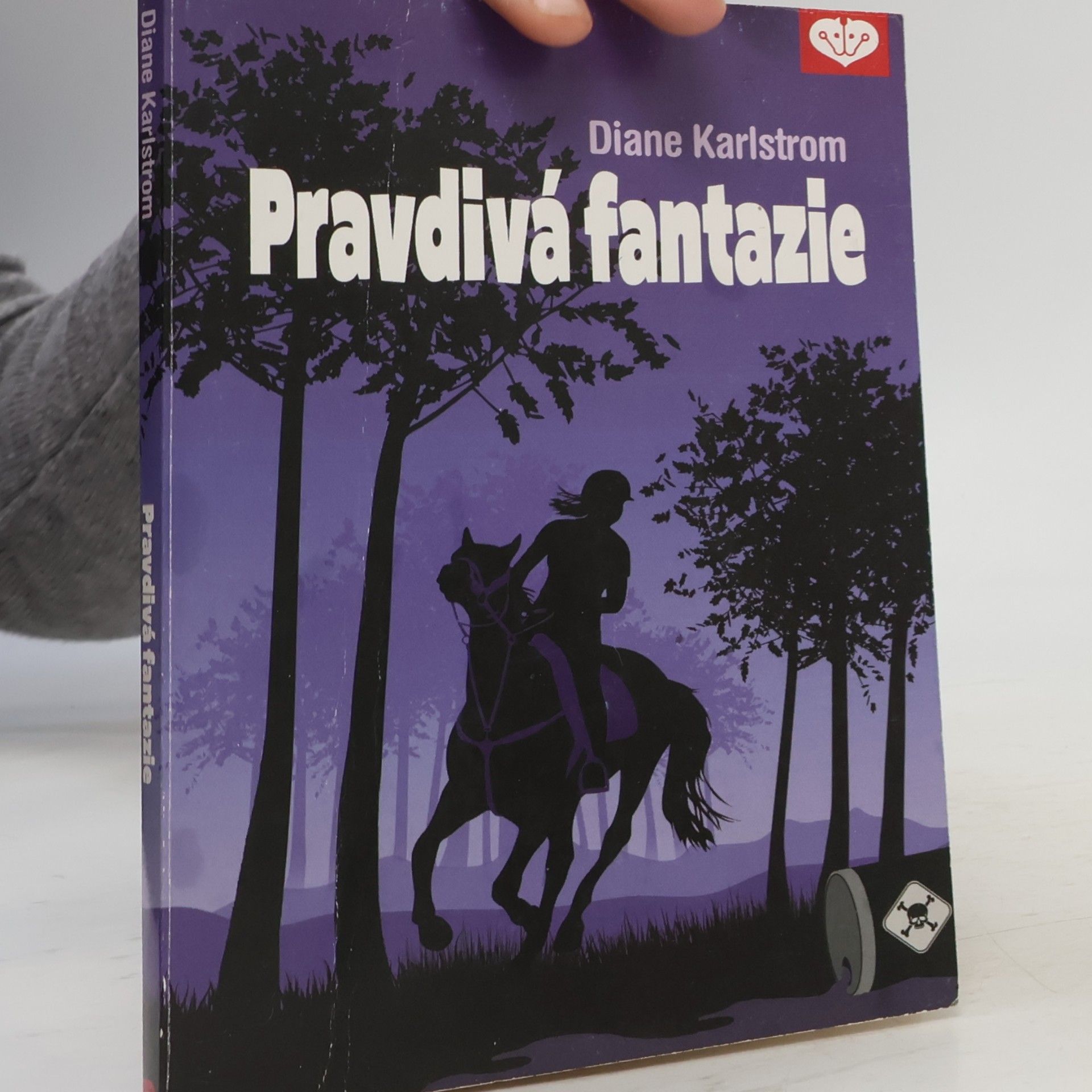Diane Karlstrom Pravdivá fantazie