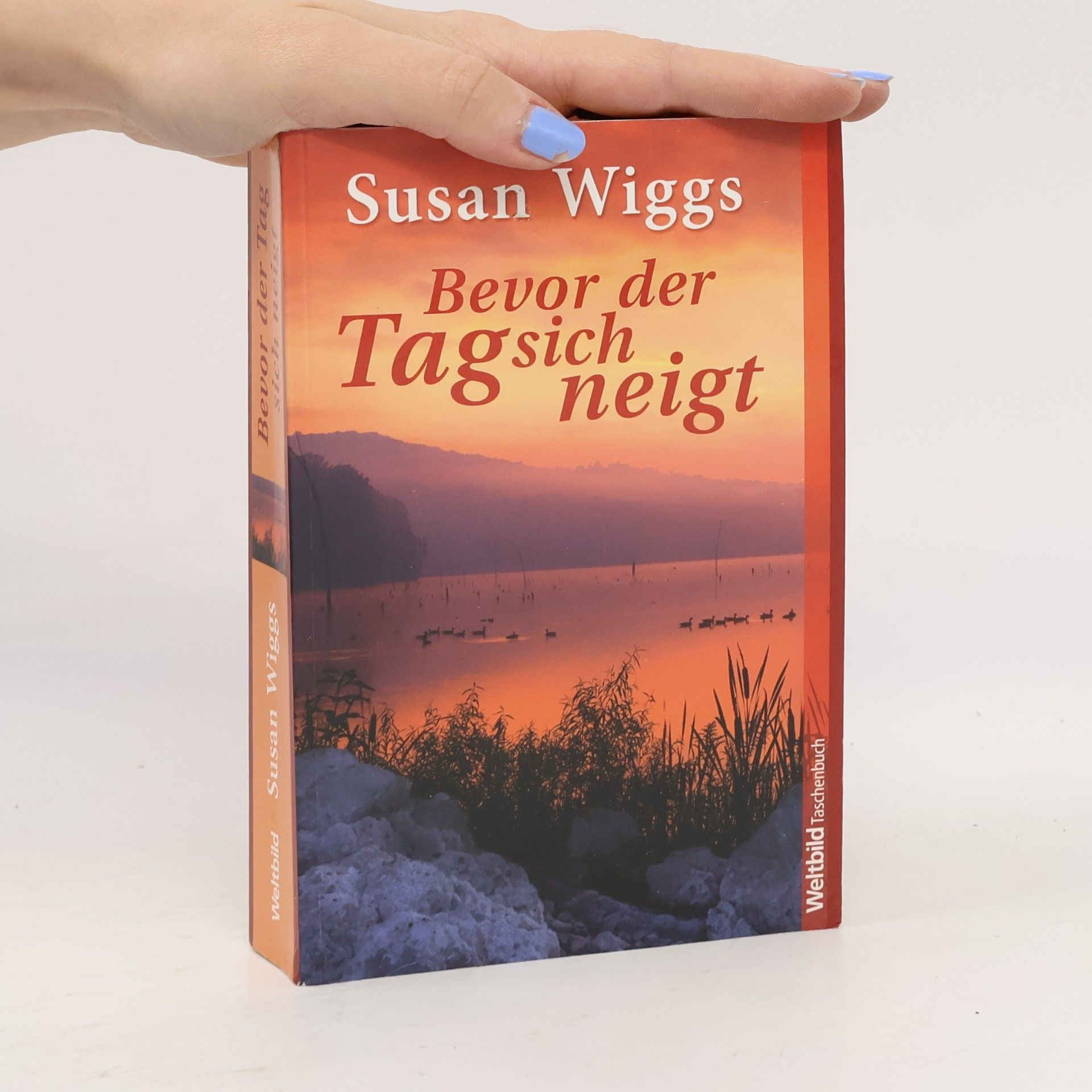 Susan Wiggs Bevor der Tag sich neigt