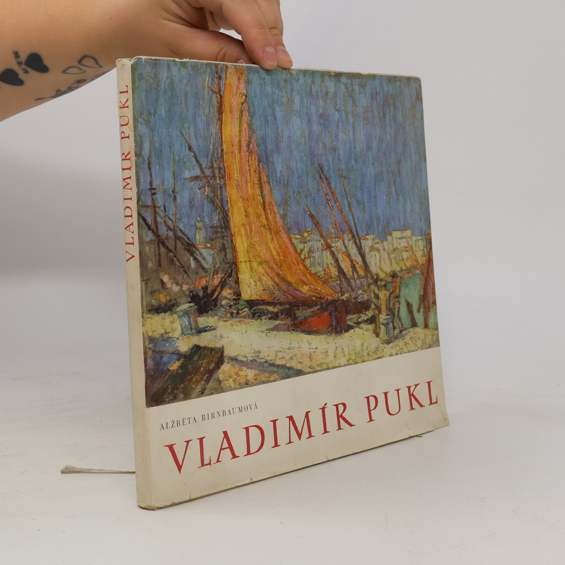 Alžběta Birnbaumová Vladimír Pukl. Monografie