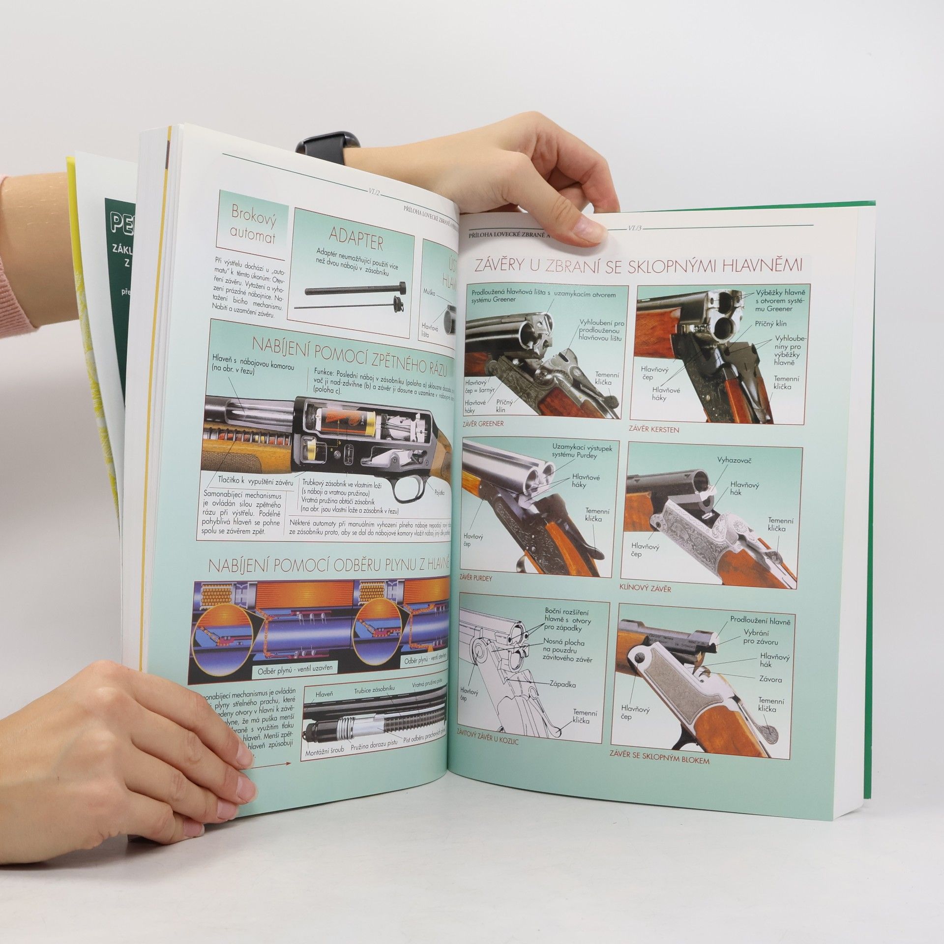 Autorenkollektiv Penzum: základy znalostí z myslivosti