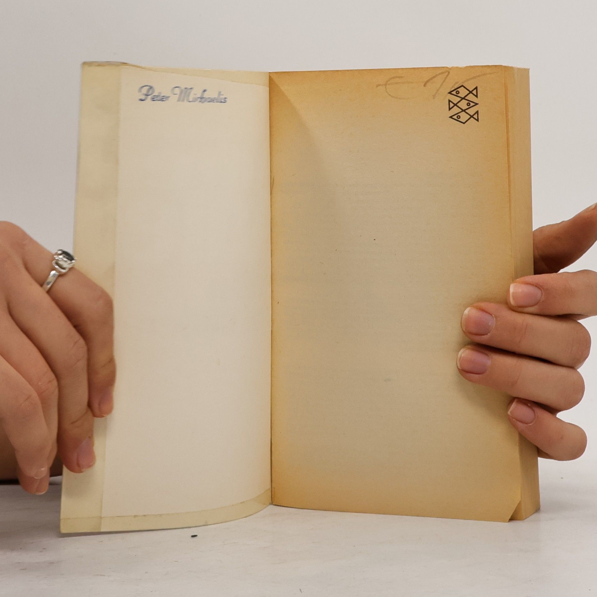 Alfred Adler Heilen und Bilden