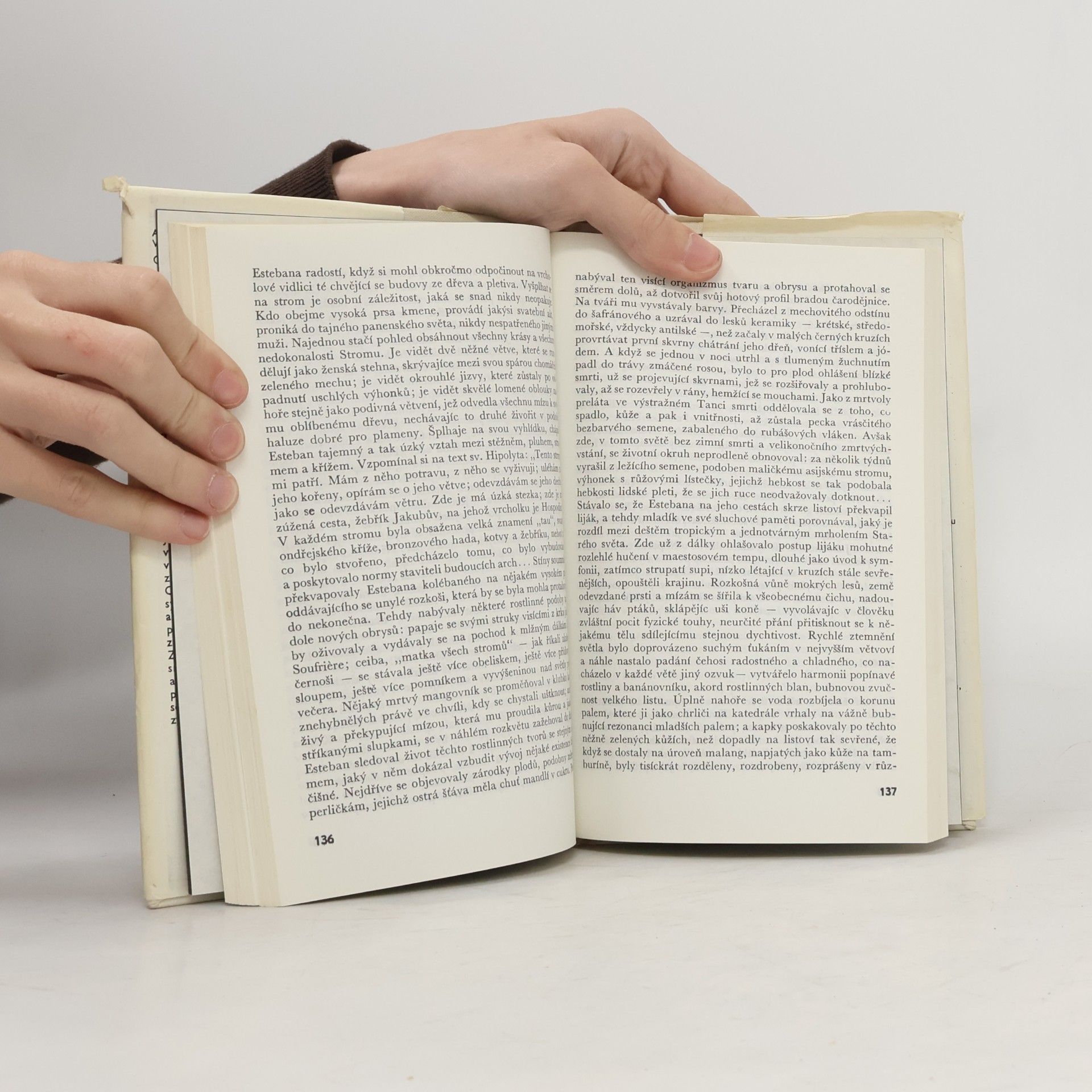 Alejo Carpintero Výbuch v katedrále