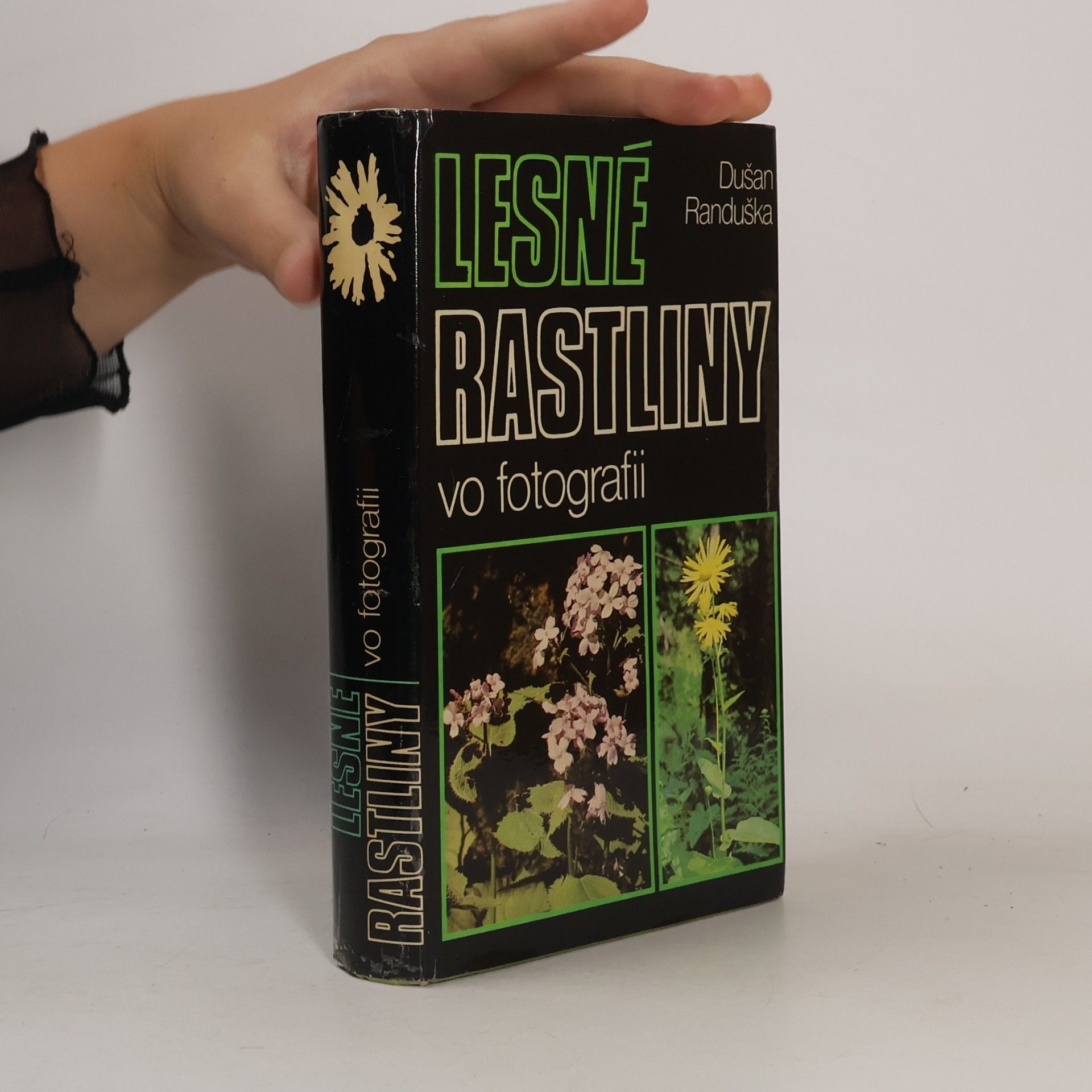 Lesné rastliny vo fotografii