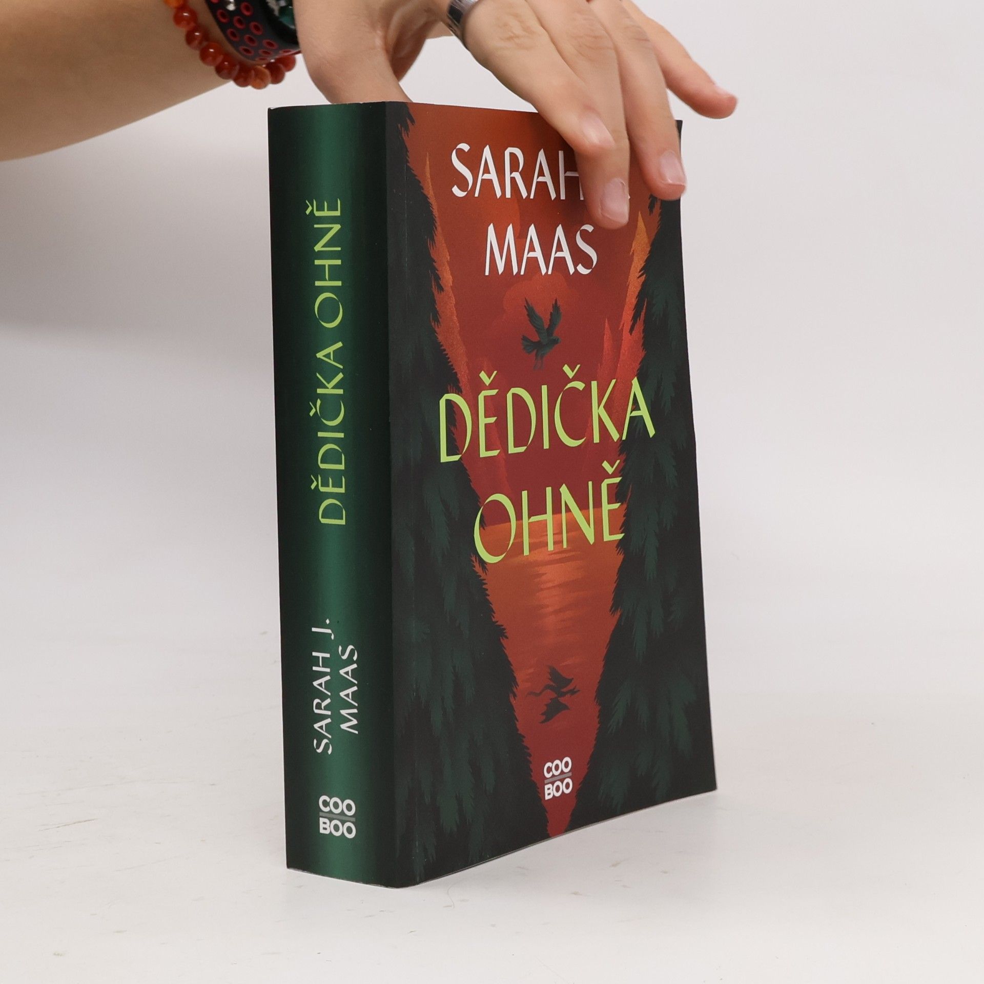 Sarah J. Maas Dědička ohně