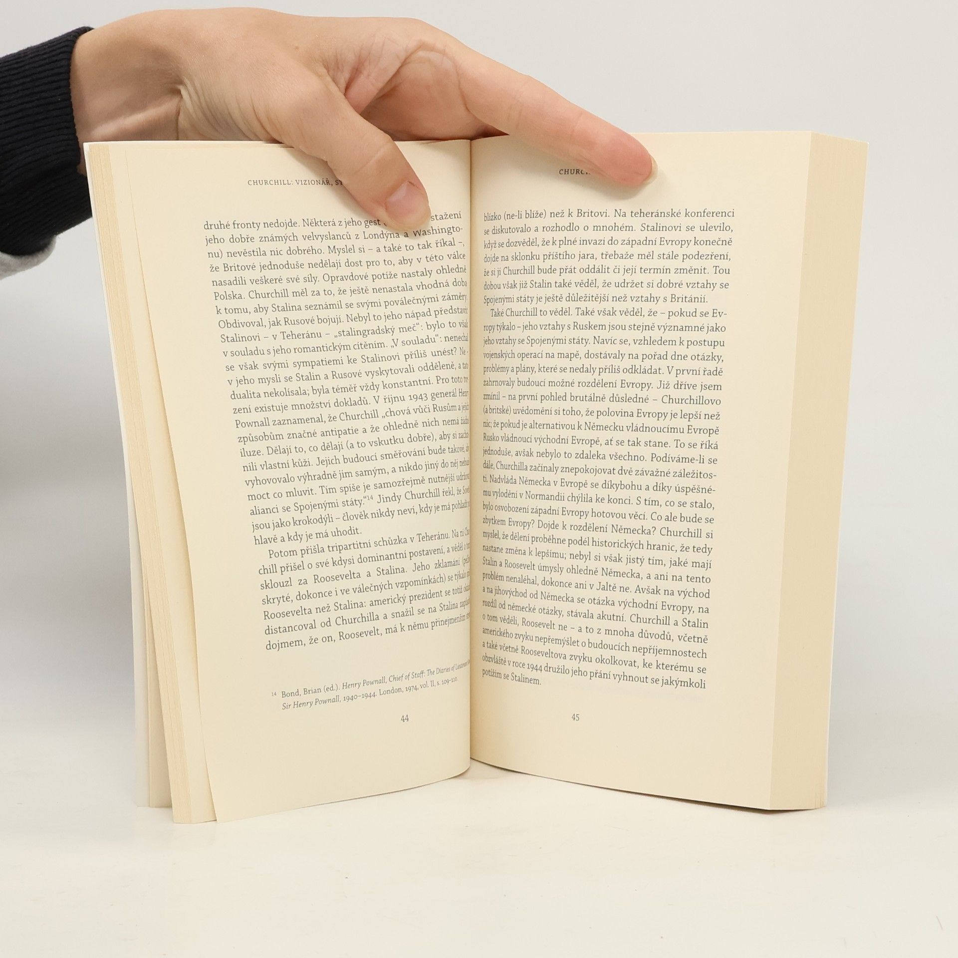 John Lukacs Churchill: vizionář, státník, historik