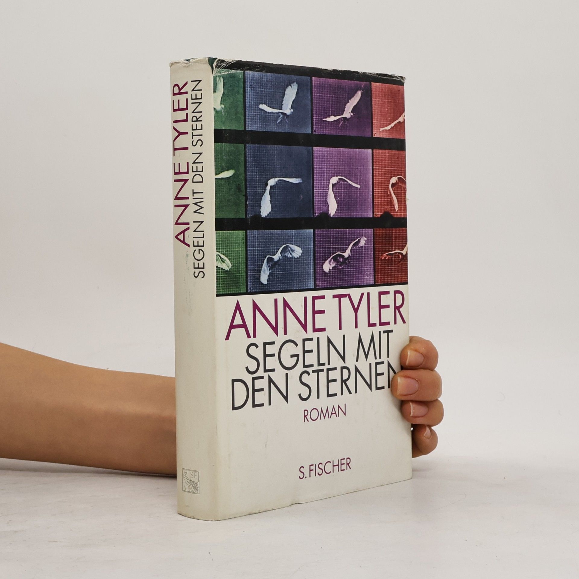 Anne Tyler Segeln mit den Sternen. Roman
