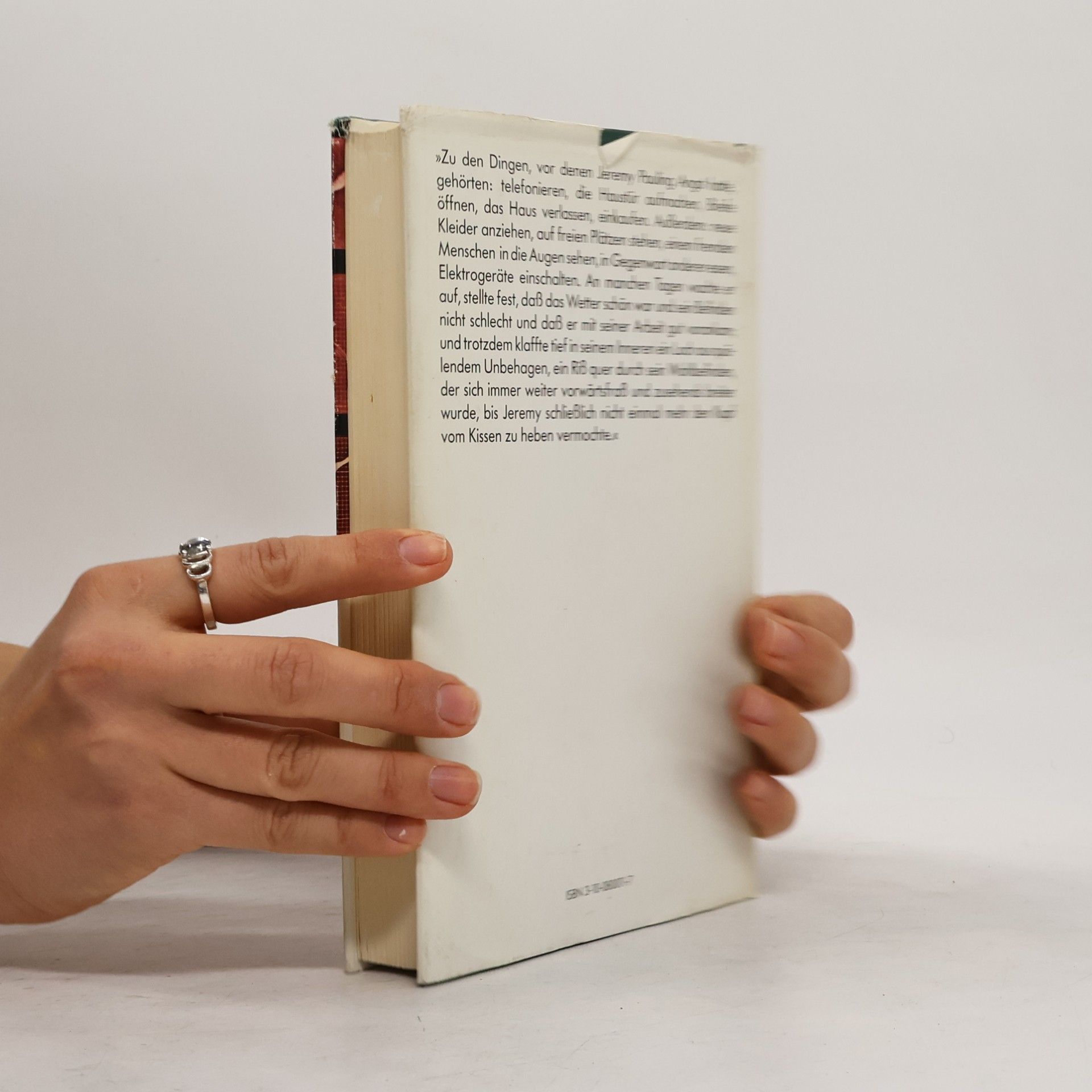 Anne Tyler Segeln mit den Sternen. Roman