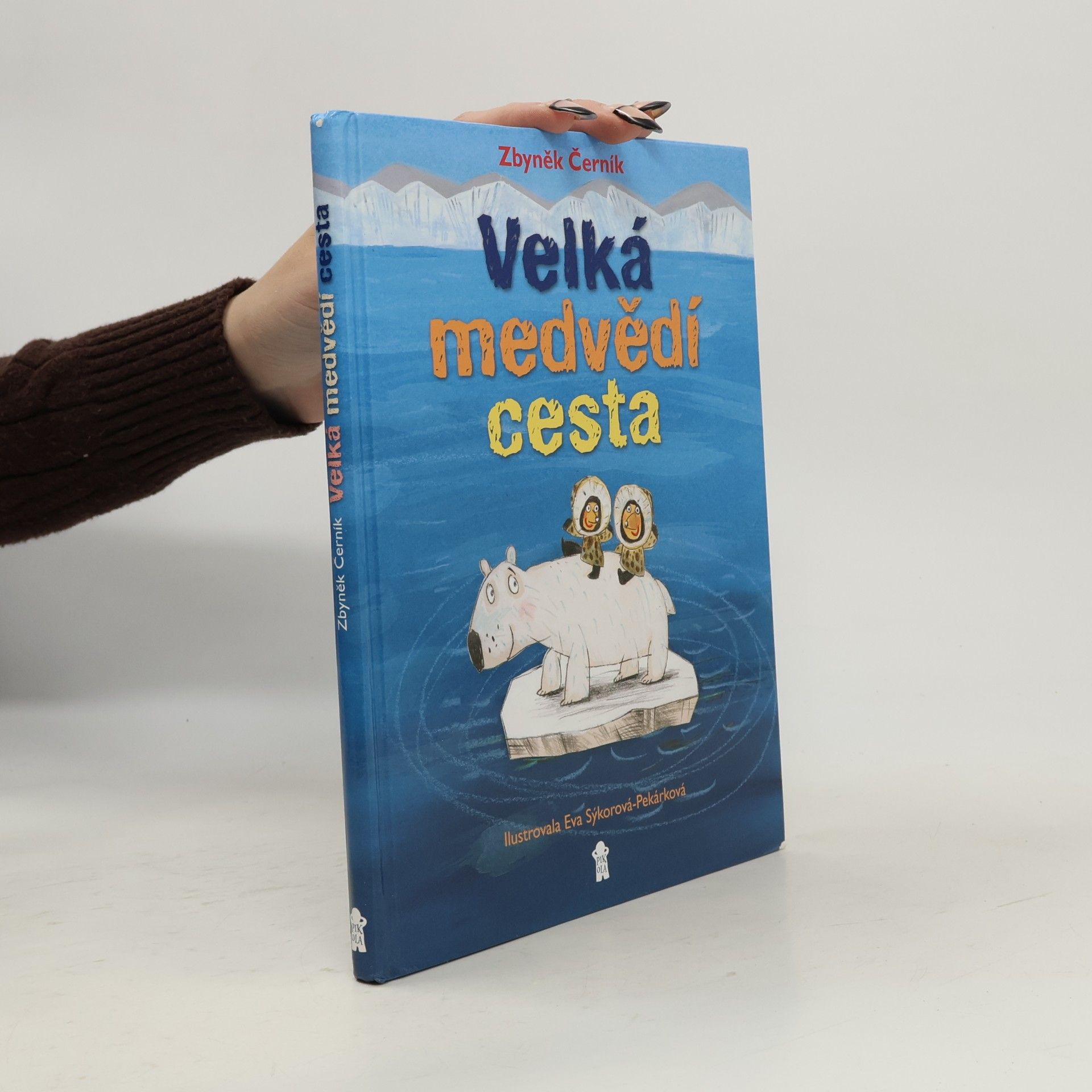 Velká medvědí cesta