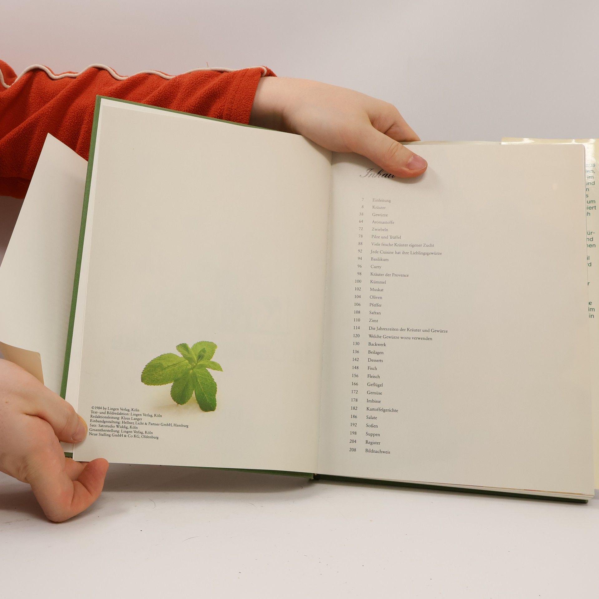 Kolektív autorov Kräuter in Garten und Küche