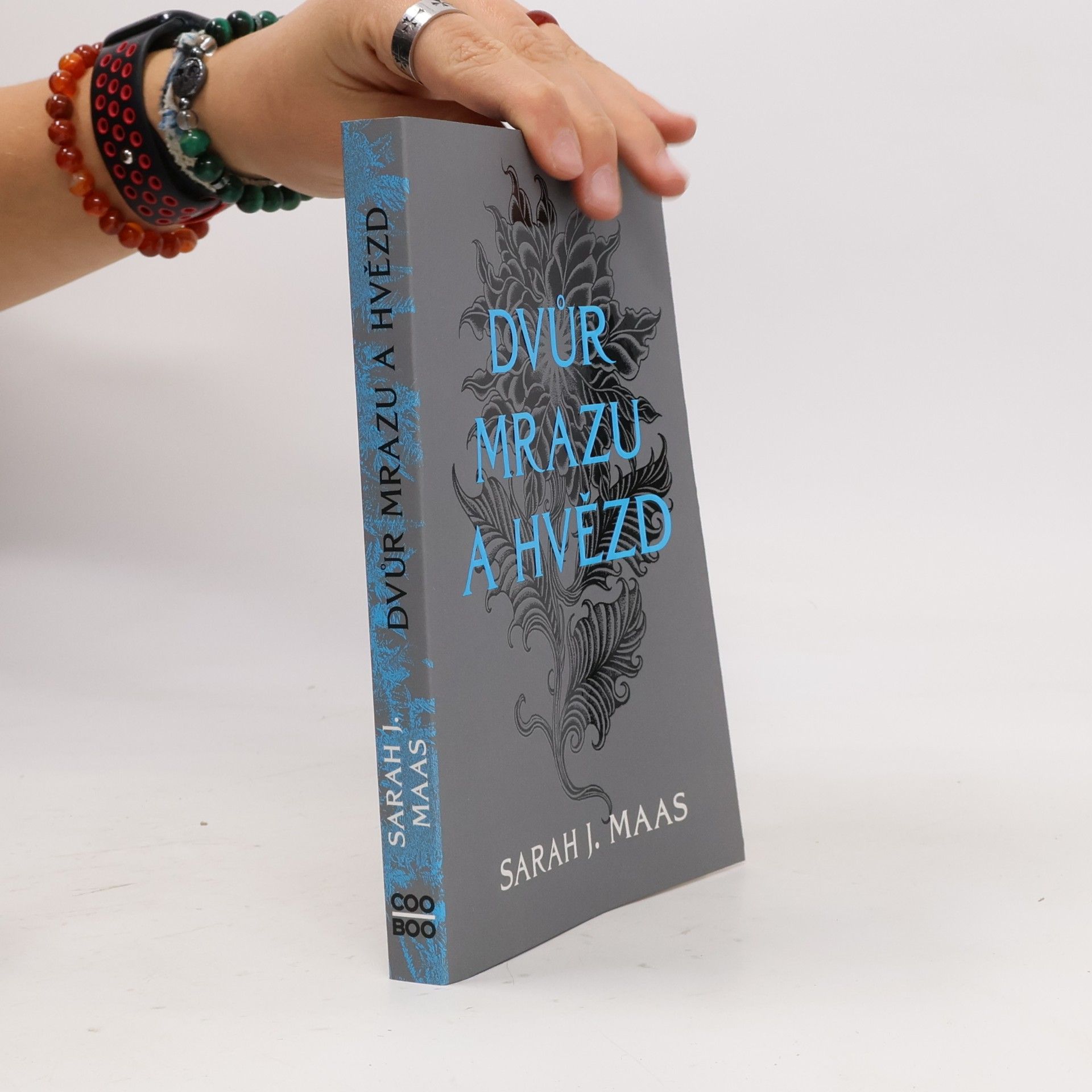 Sarah J. Maas Dvůr mrazu a hvězd