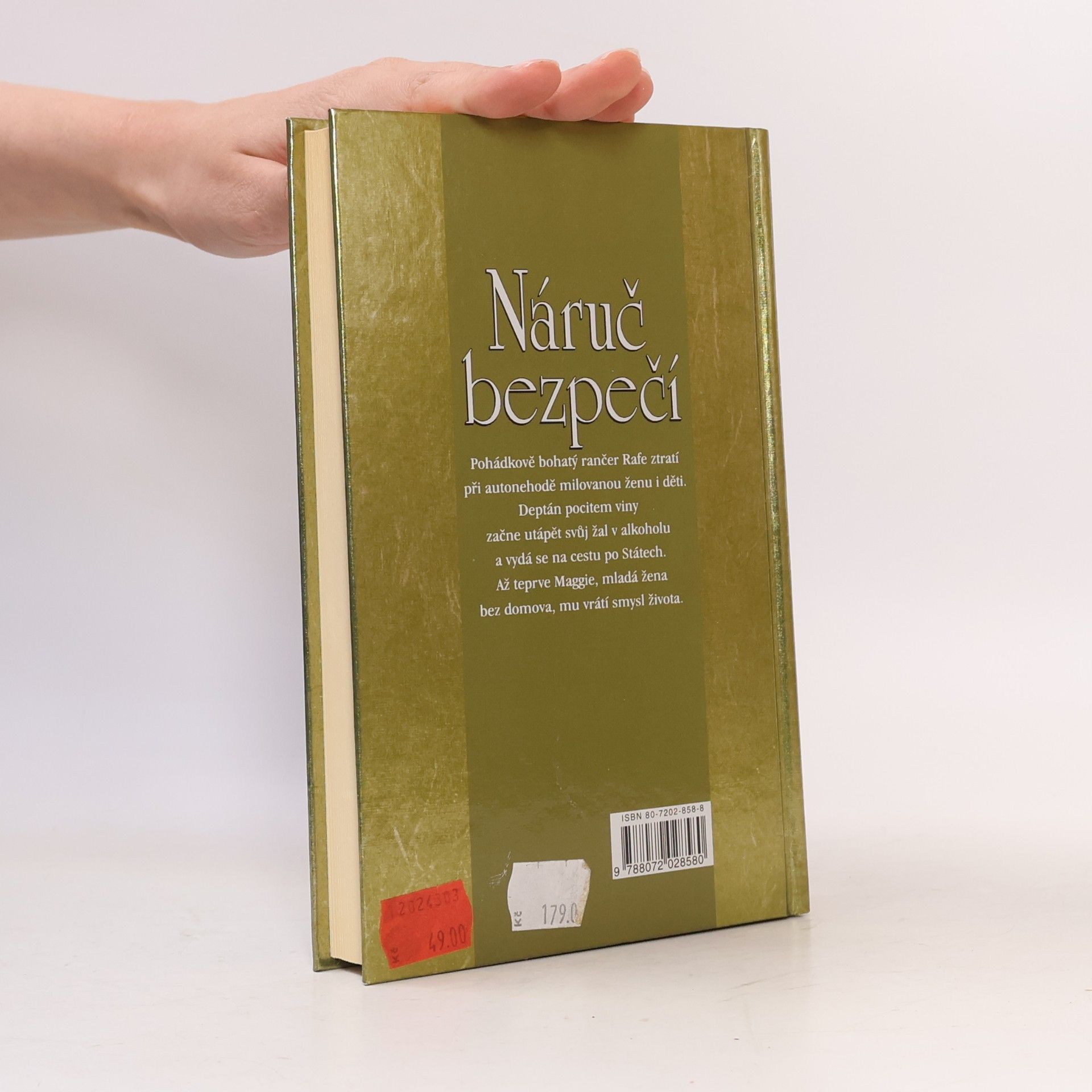 Catherine Anderson Náruč bezpečí