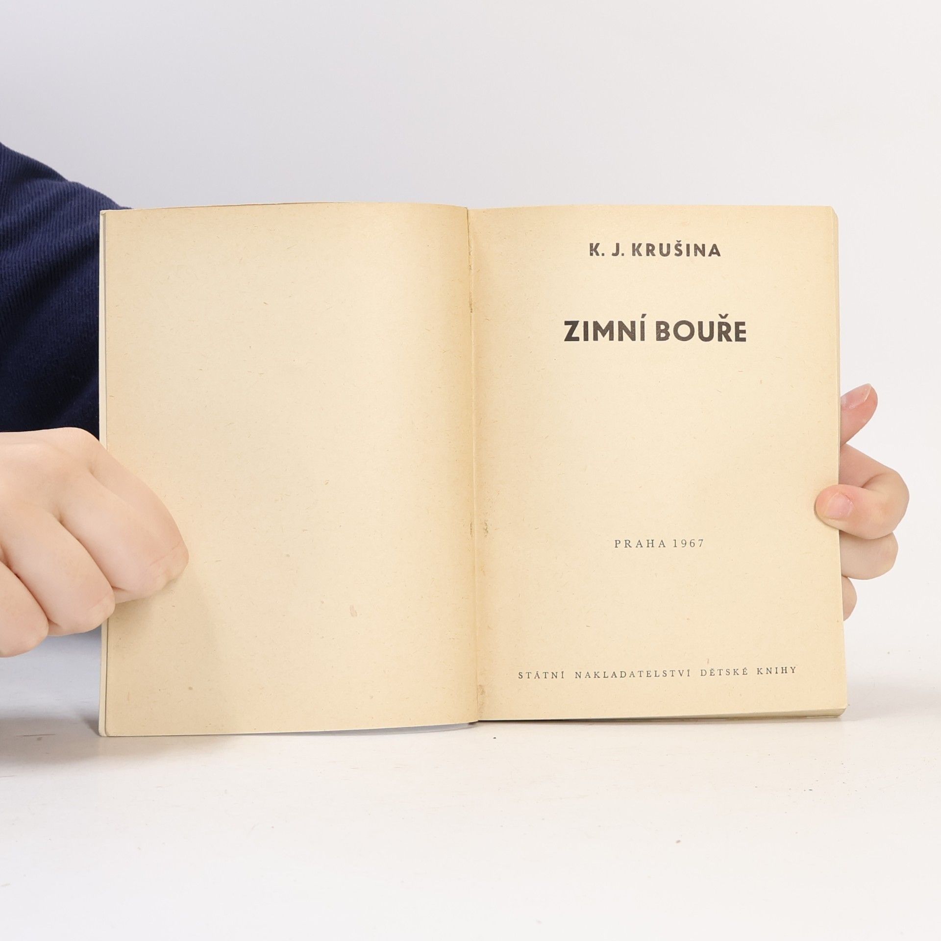 Karel Jindřich Krušina Zimní bouře