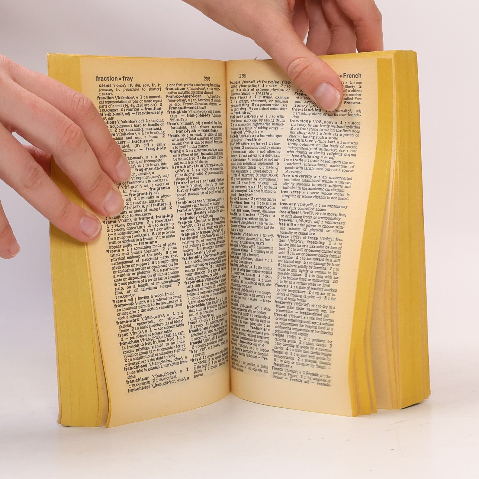 The Merriam-Webster Dictionary