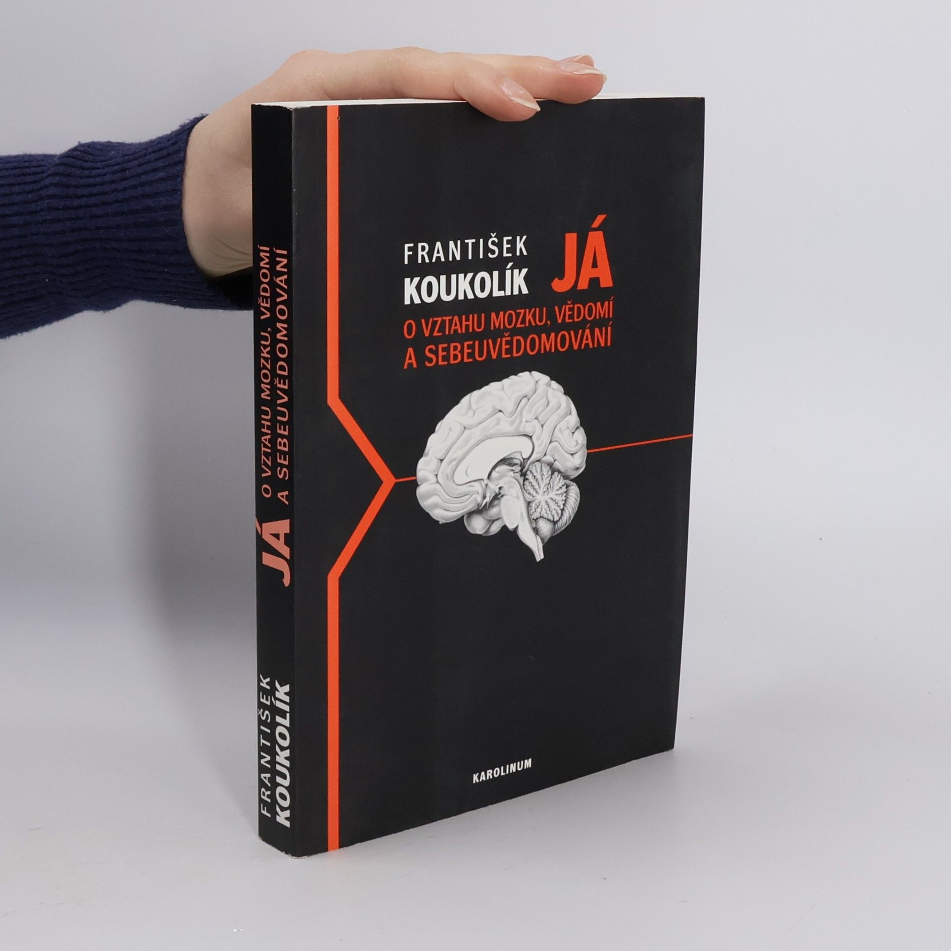 Já. O vztahu mozku, vědomí a sebeuvědomování