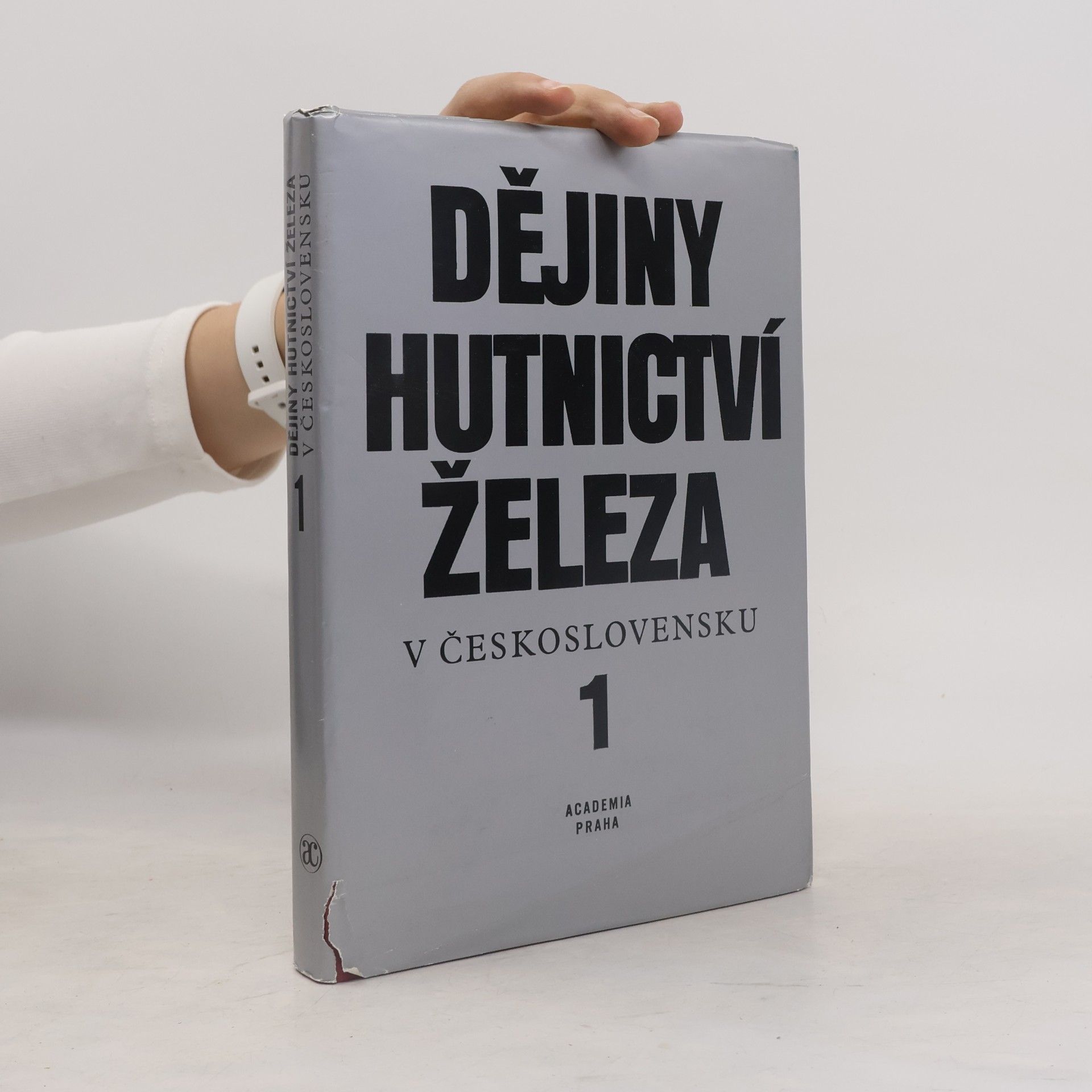 AA.VV. Dějiny hutnictví železa v Československu 1