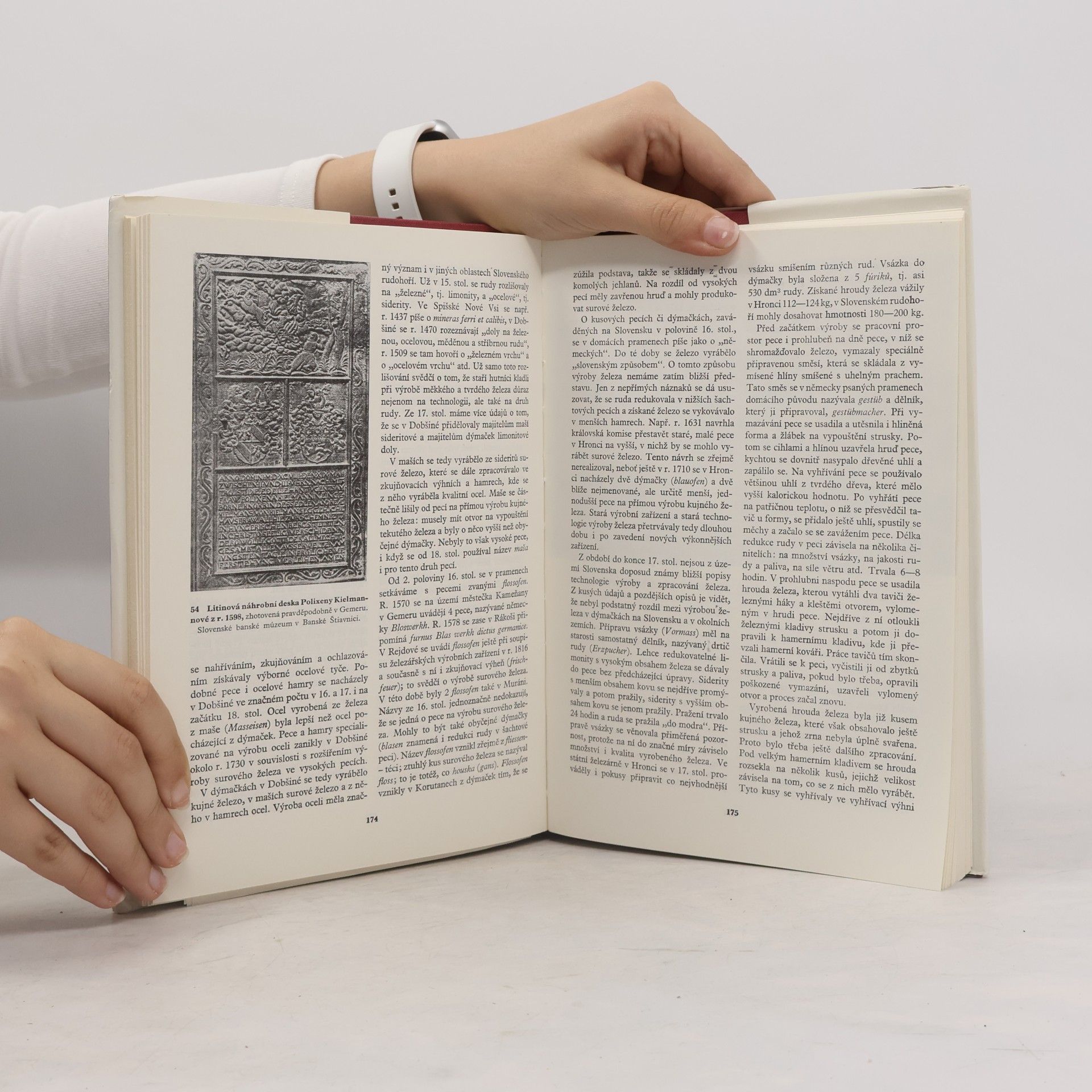 Autores varios Dějiny hutnictví železa v Československu 1
