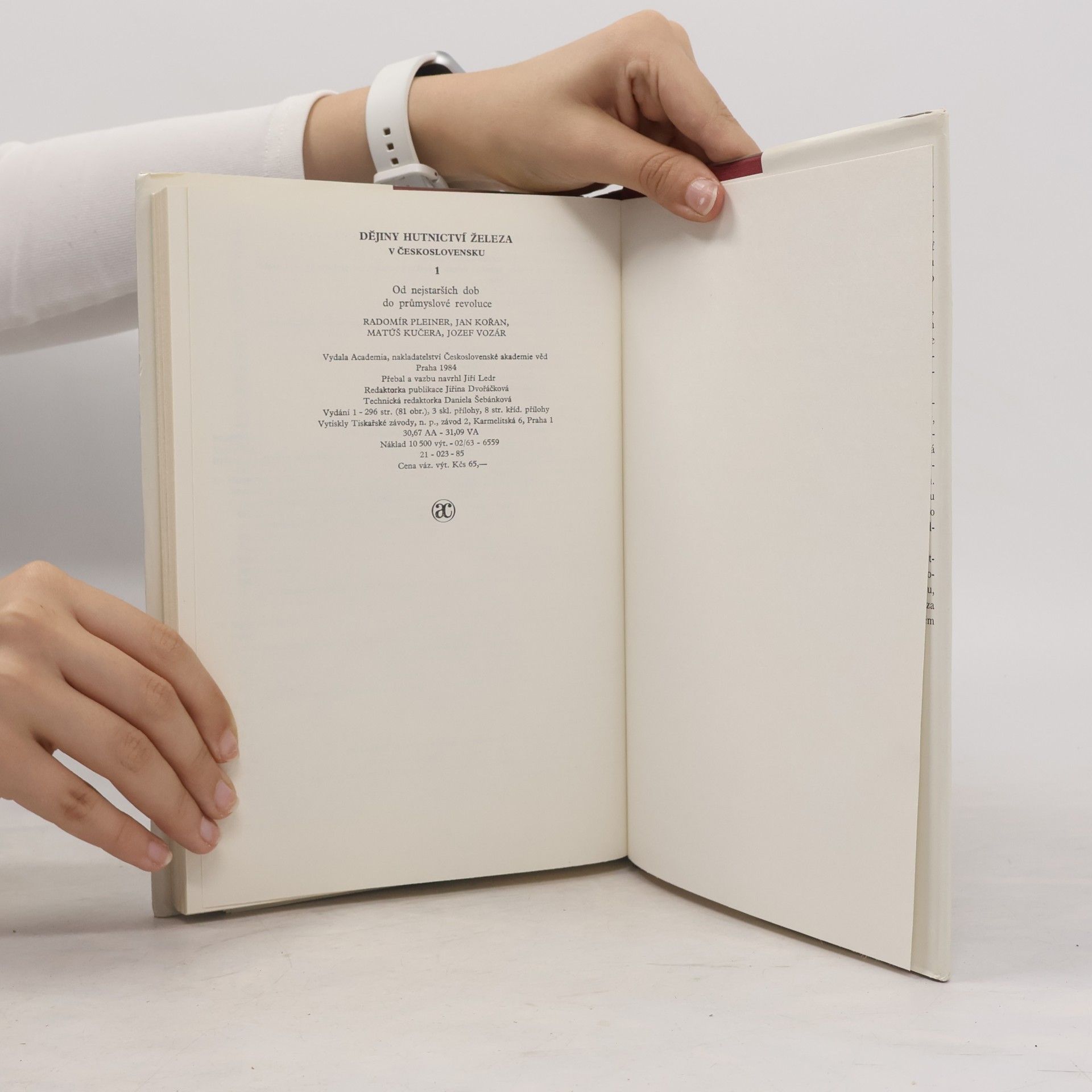 Autores varios Dějiny hutnictví železa v Československu 1